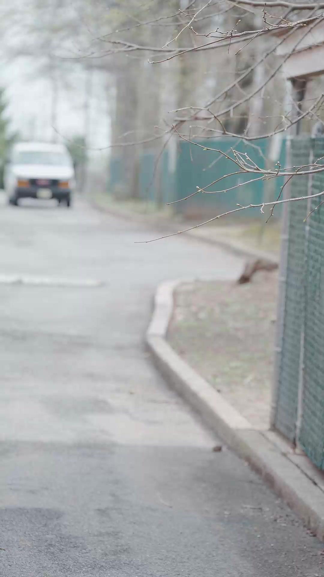 CHOYÉE PAR UN MILLIARDAIRE