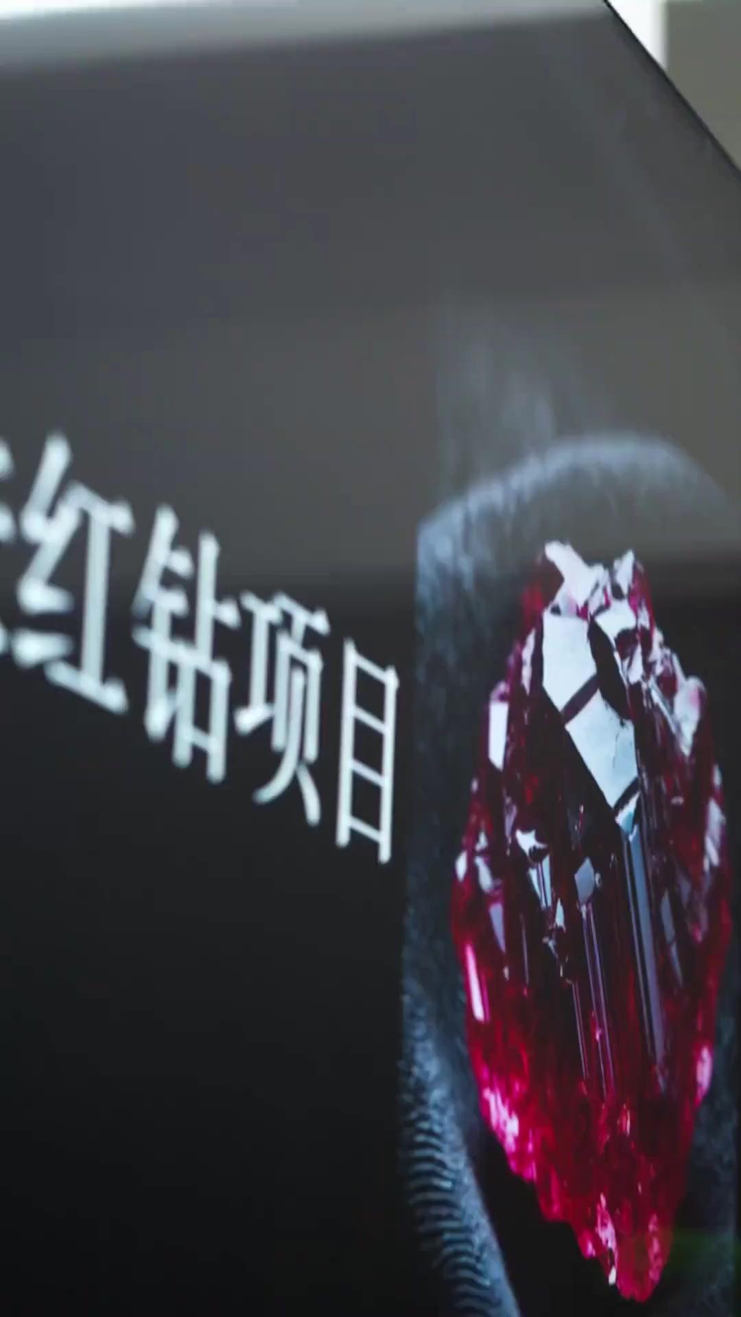 (Dubbed)Emerged from the Ashes