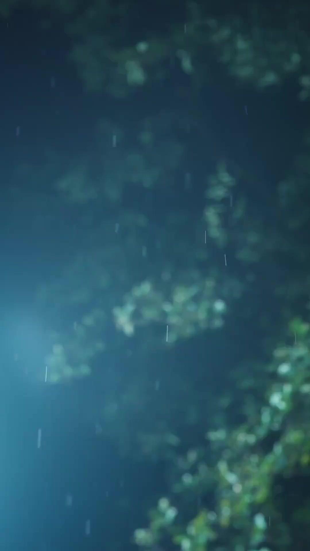 Pháp Lực Vô Biên