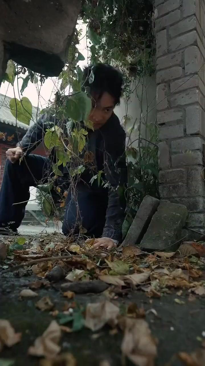 (Dubbed)Rise of the Outcast