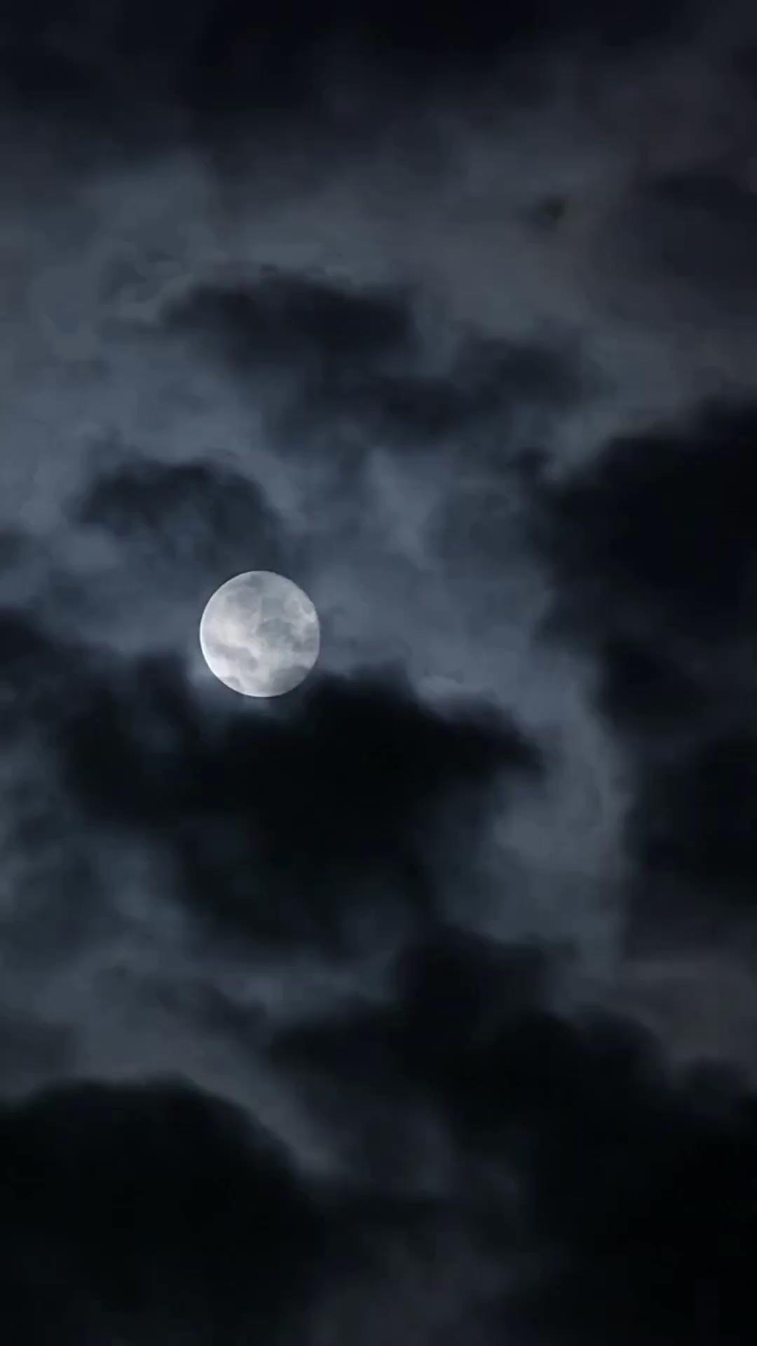 (Lồng tiếng) Phá Lồng