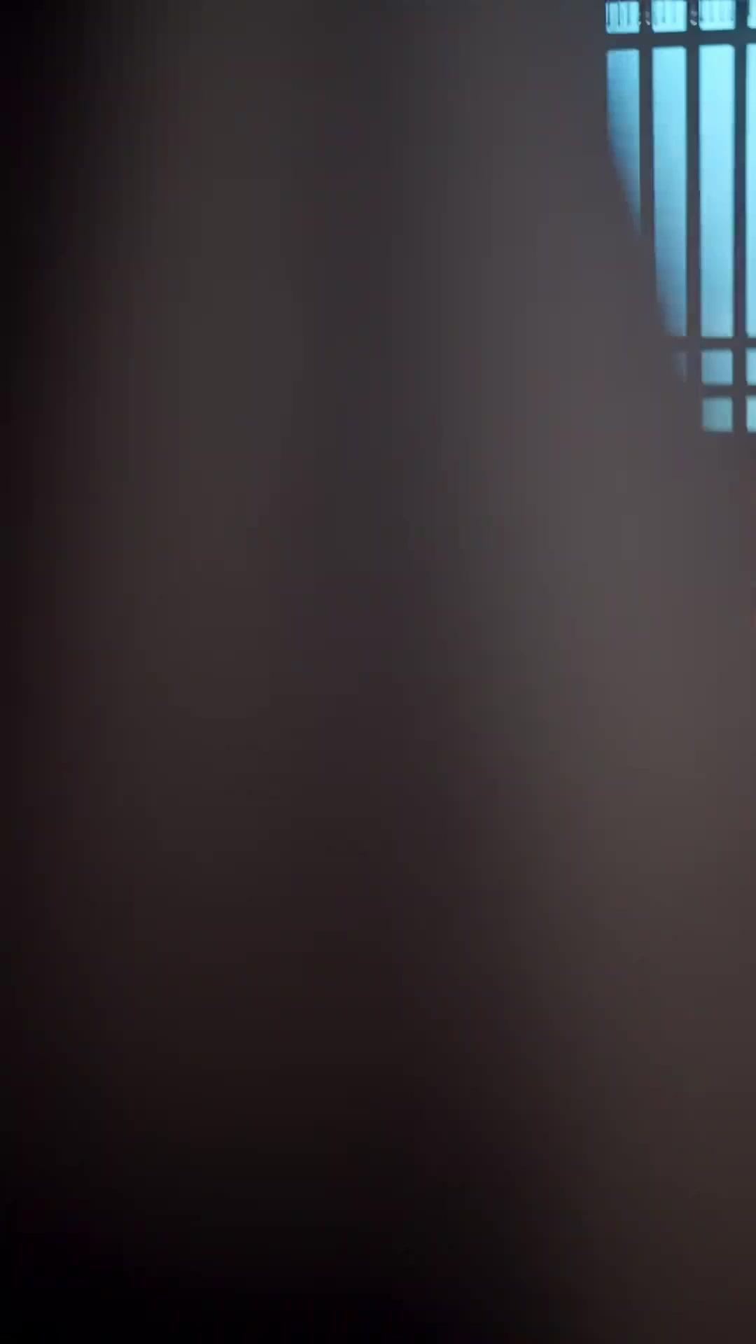 (吹き替え) 十二枚の金の牌～真情を裏切る～