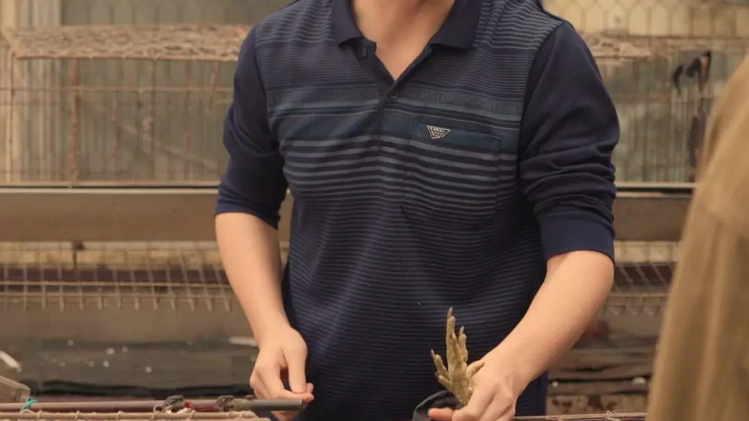 Yarn, Chickens, and Unspoken Truths