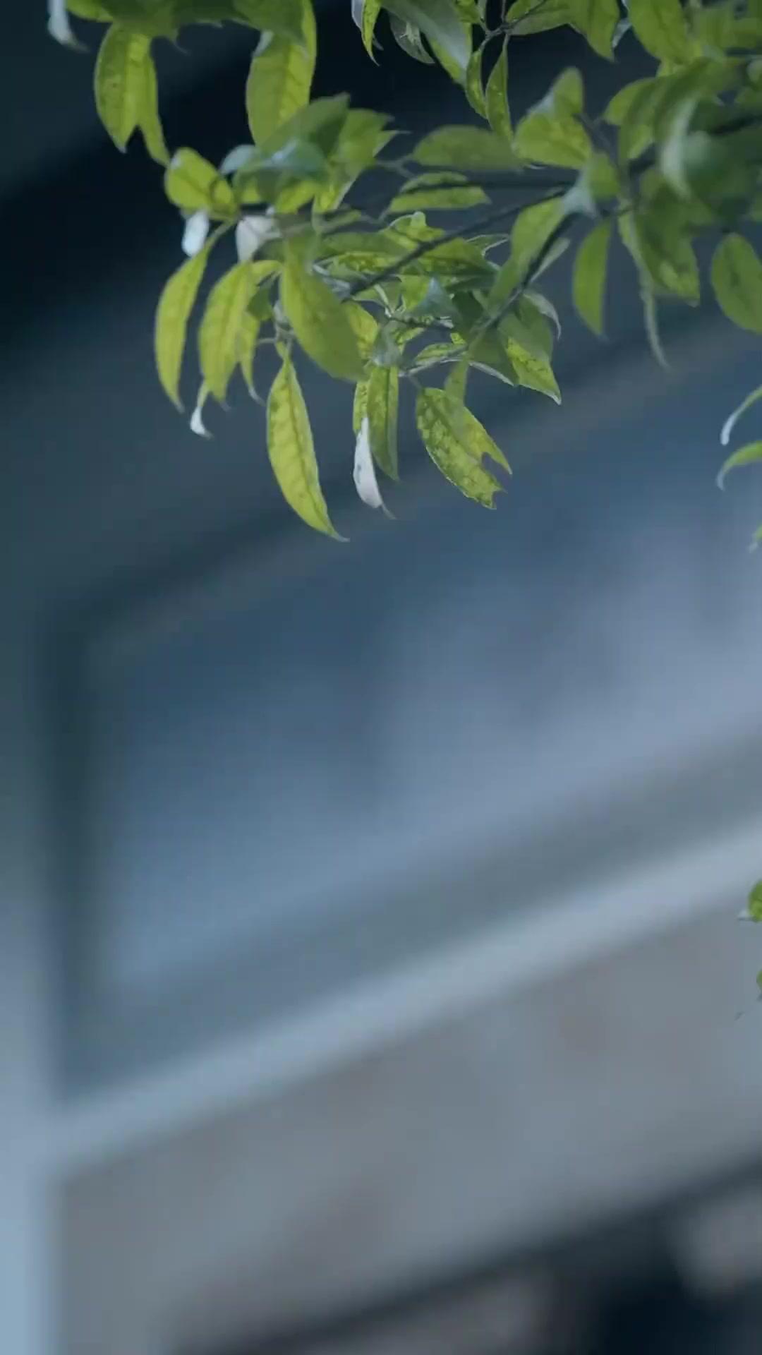 (Dublajlı)Yükselen Zafer