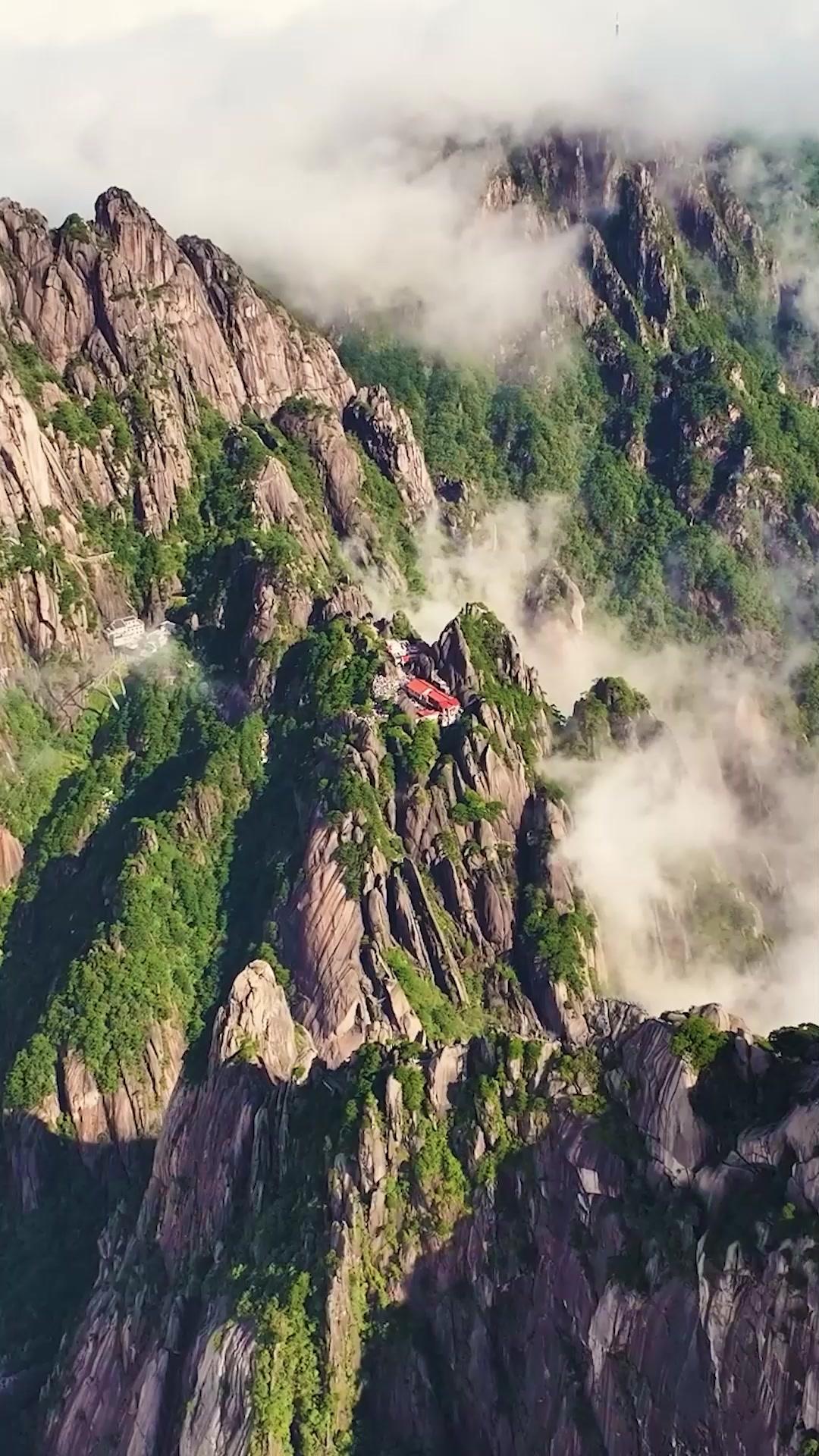 以父之名，戰至尊