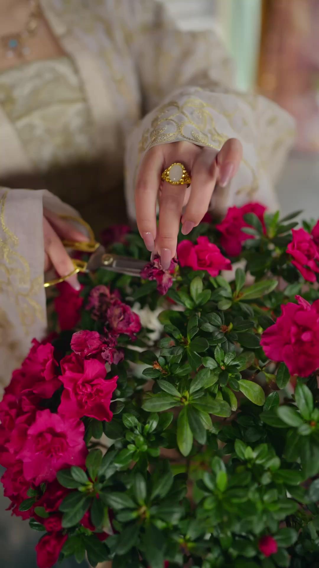 How to Seduce the Prince as a Singing-Girl