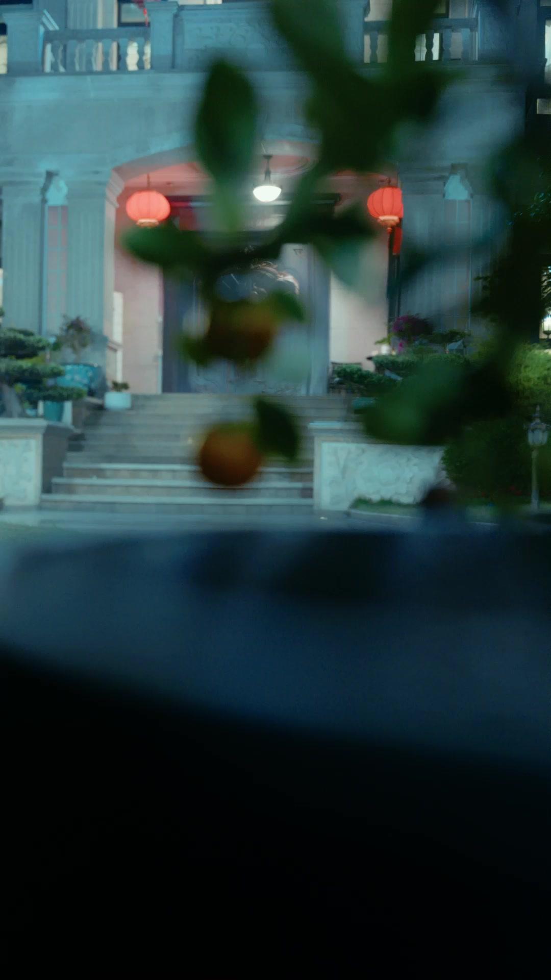 Pequeño demonio, gran protector