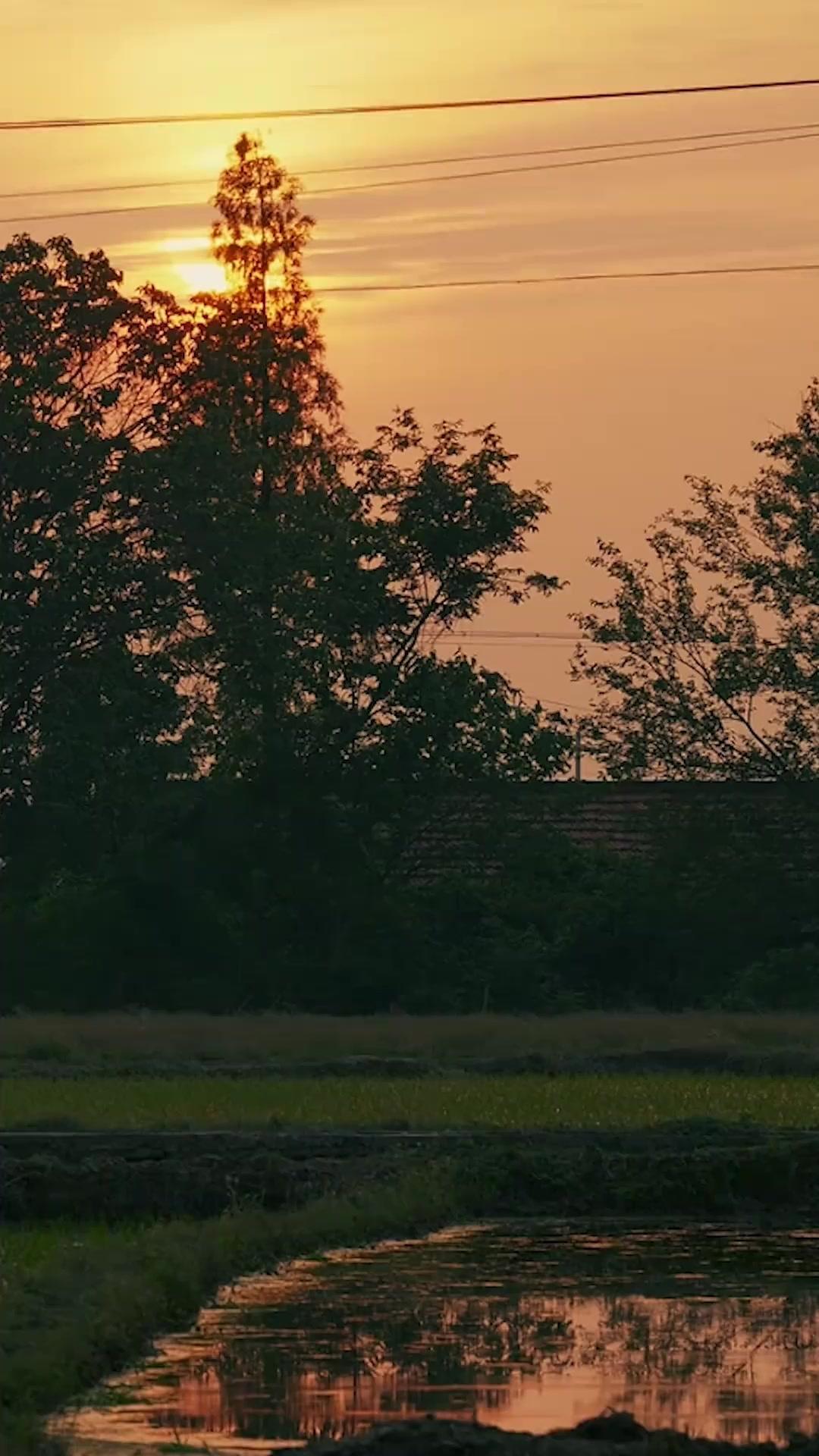 沈黙の絆～母への問いかけ～