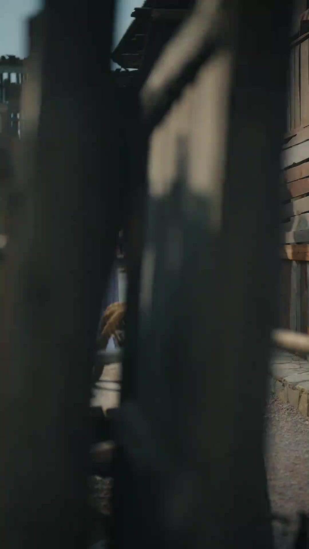 Top Scholar in a Jail Cell 