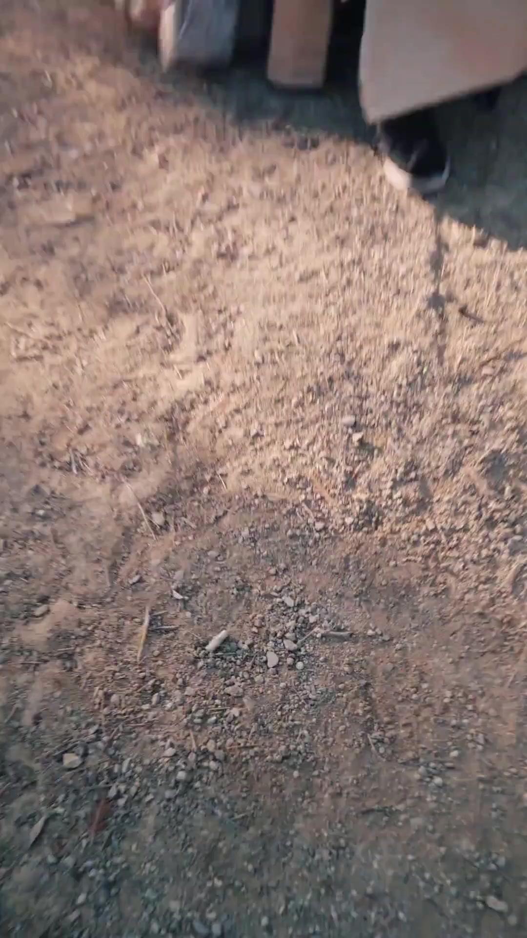 (Doblado)Príncipe y mendiga