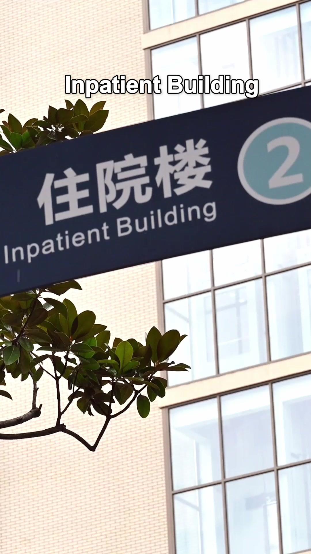 CEO’s City-Wide Hunt