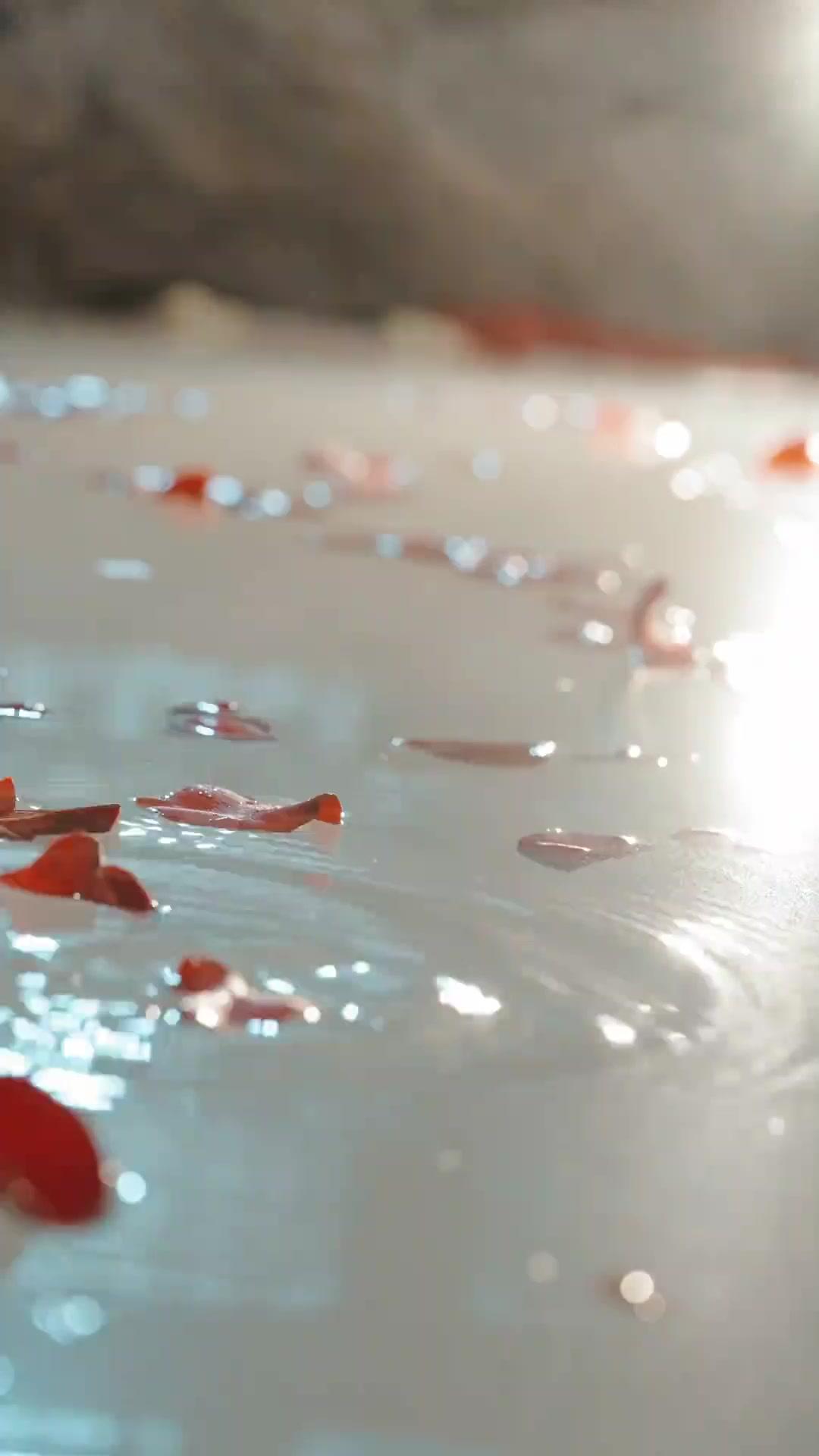 Felsburg – Die Rache der Wahren Tochter