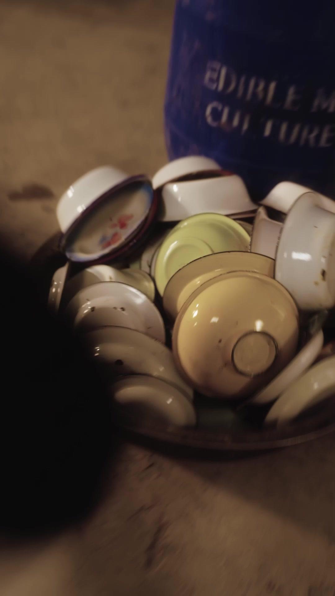  Life's Road, Filial First