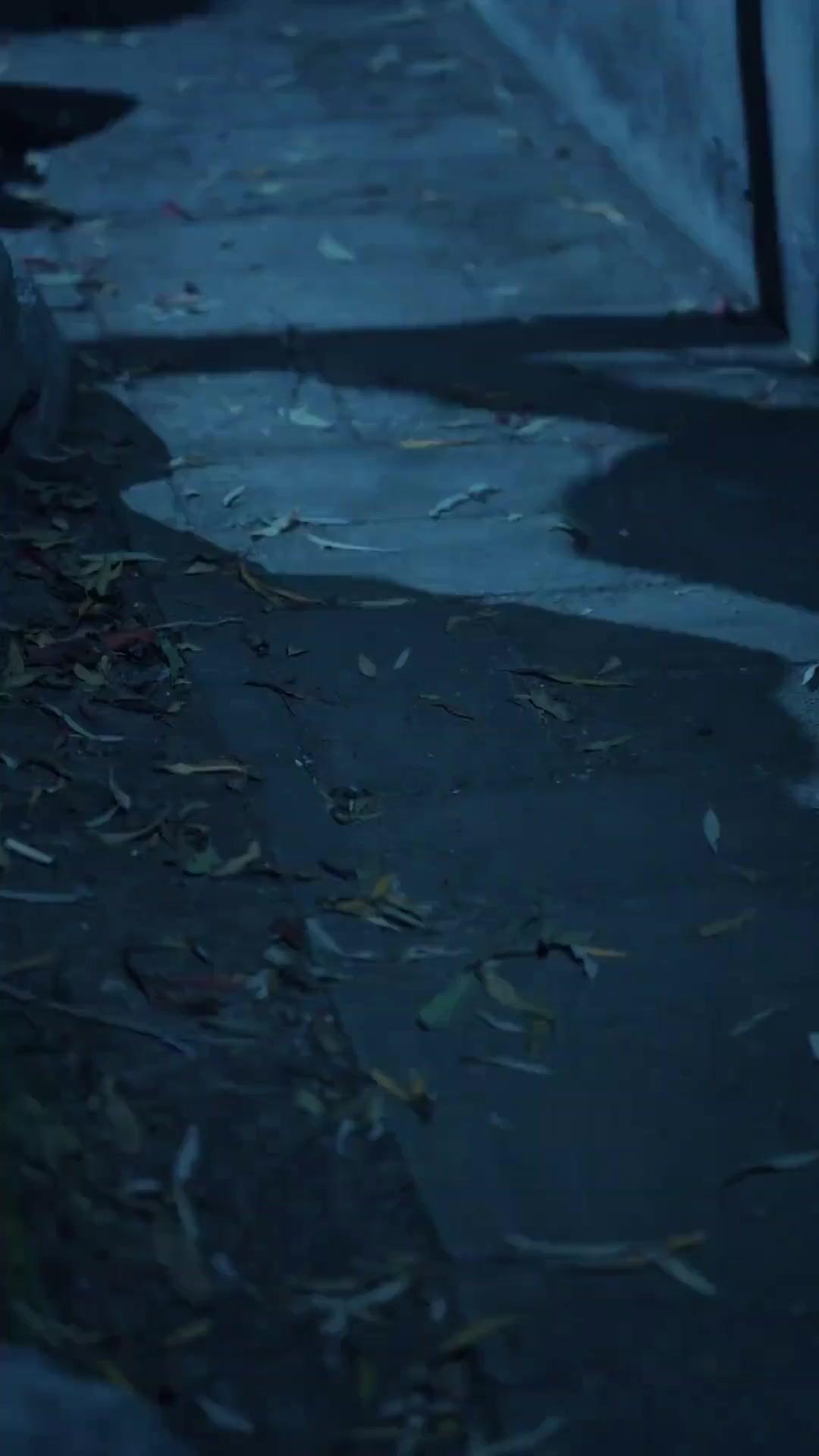 (Doblado)Príncipe y mendiga