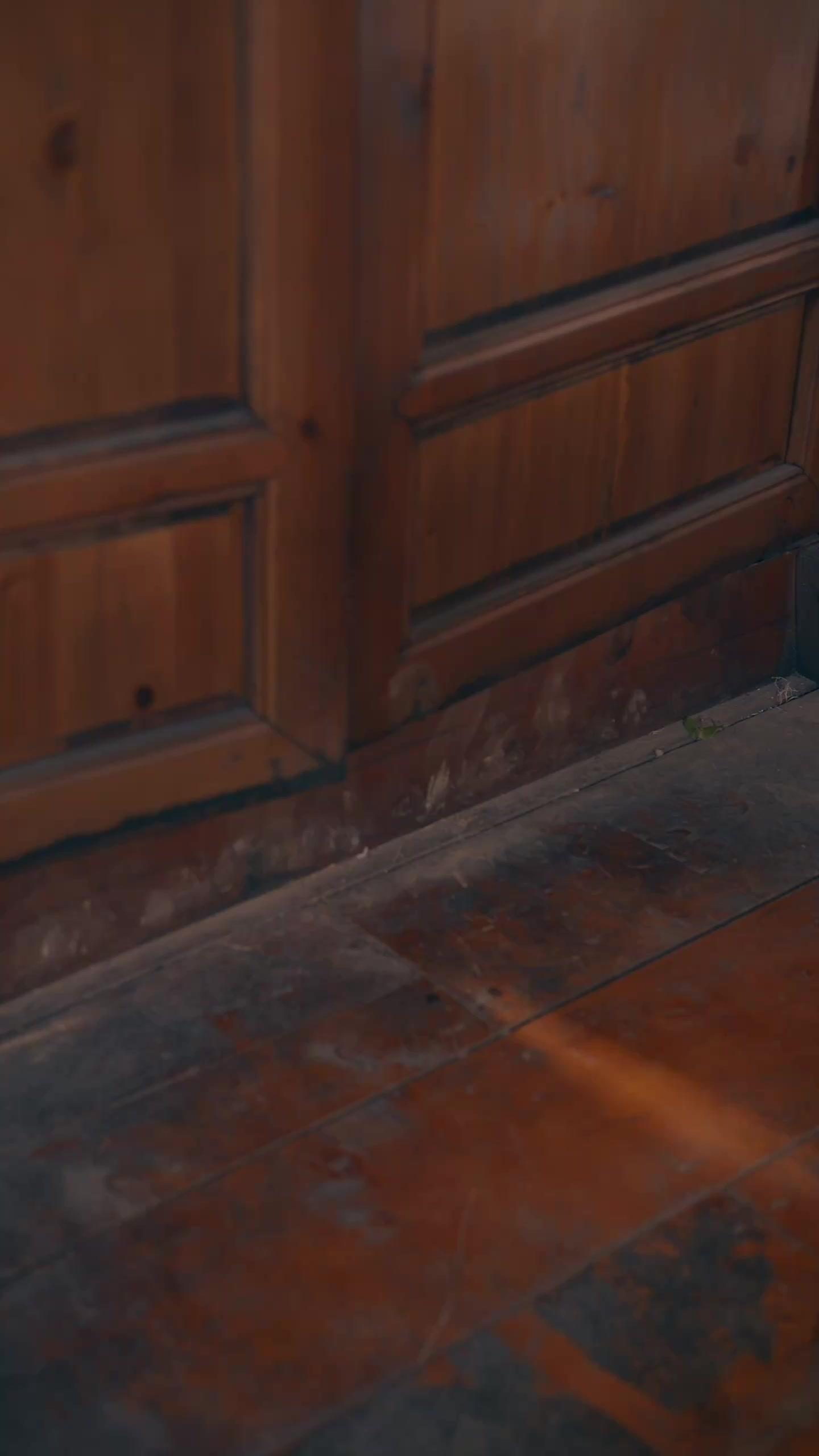 Ayah Pemimpin Bandit Ternyata Raja