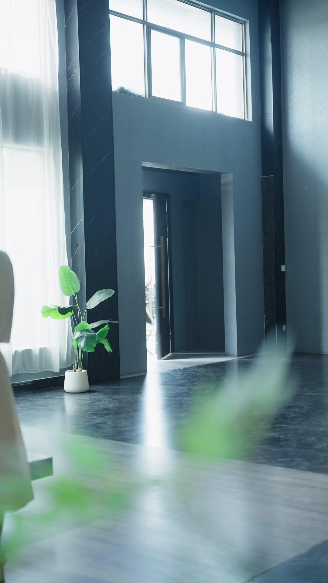 萌娃老祖宗：龍家我說了算