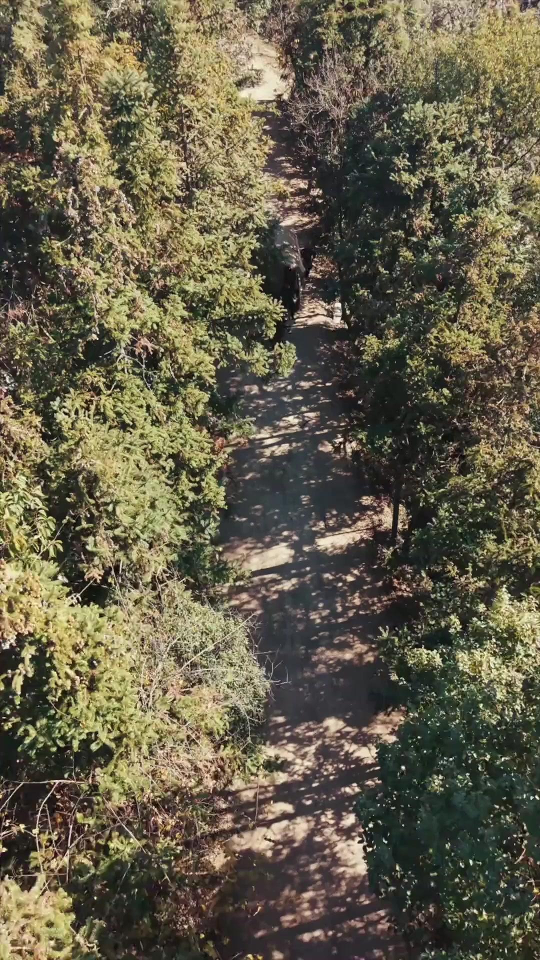 El estratega sin límites