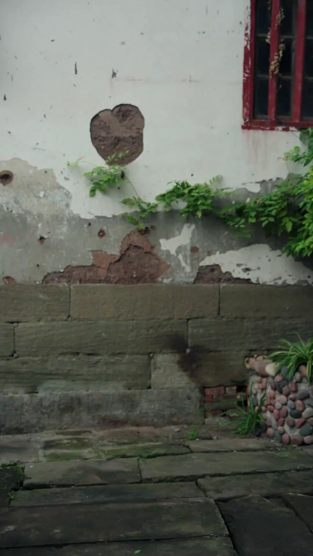 ライブで発見！五千歳のひい爺様