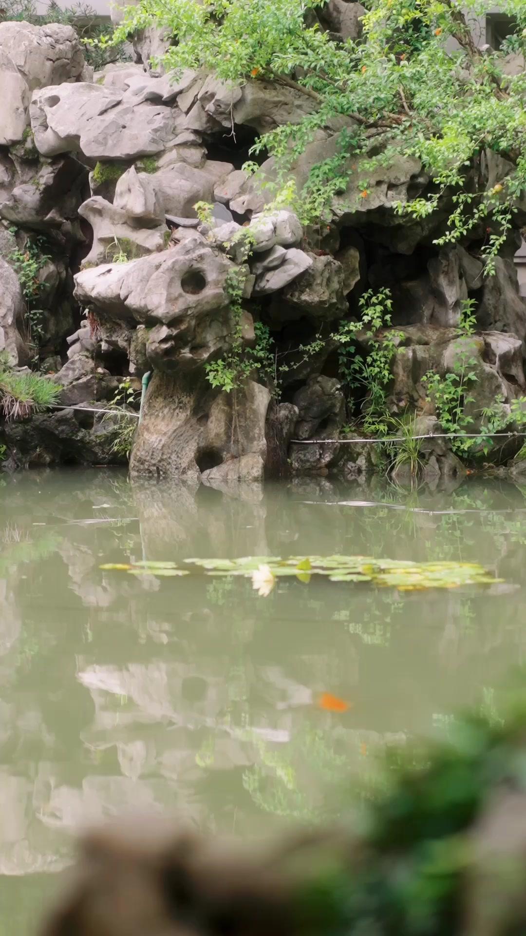 Kaderin Yazdığı Evlilik