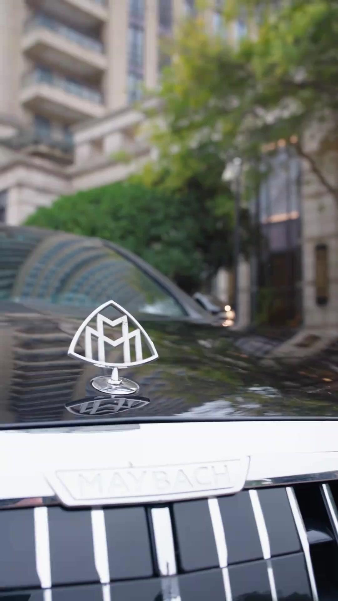 Entre Ingratidão e Mentiras