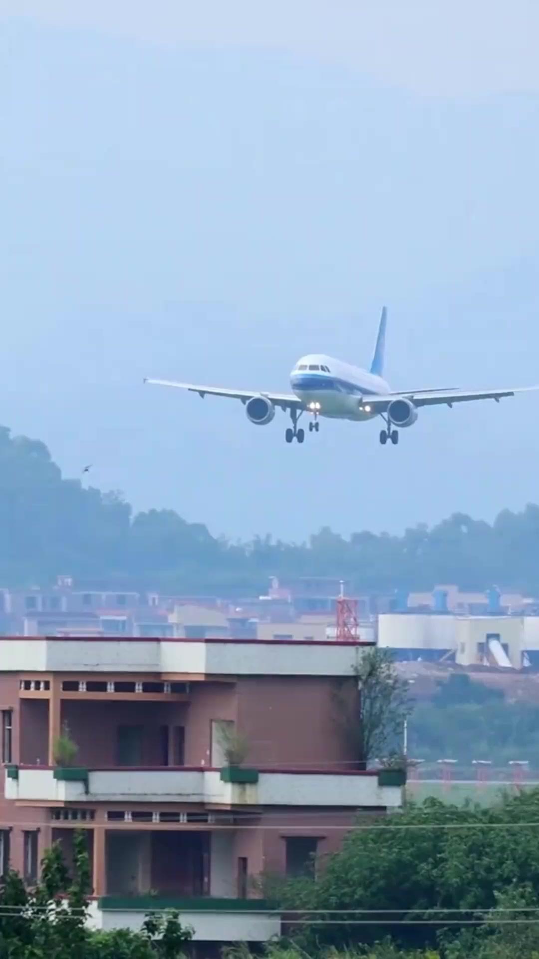 離婚後の恋人は妻と犬猿の仲