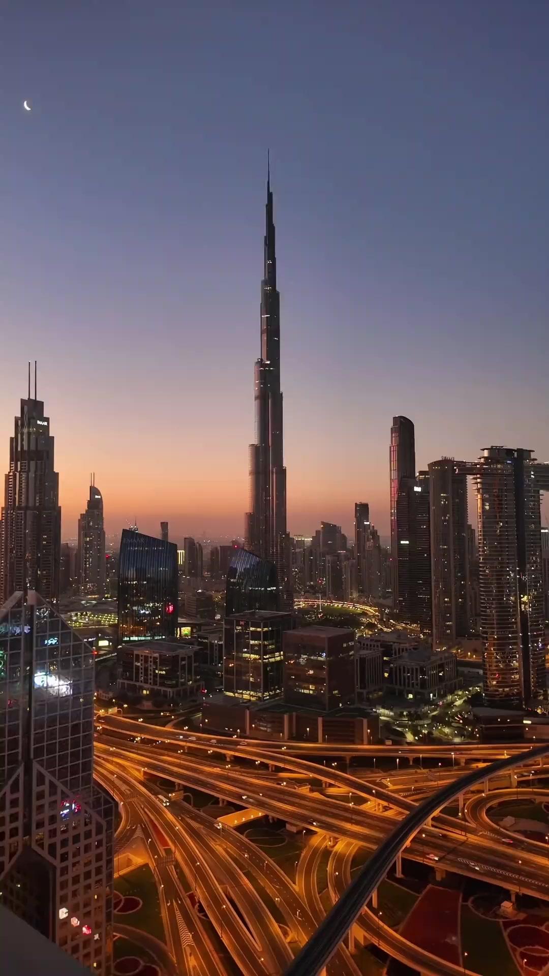 Hey! I Was Their Savior, Not Their Maid!