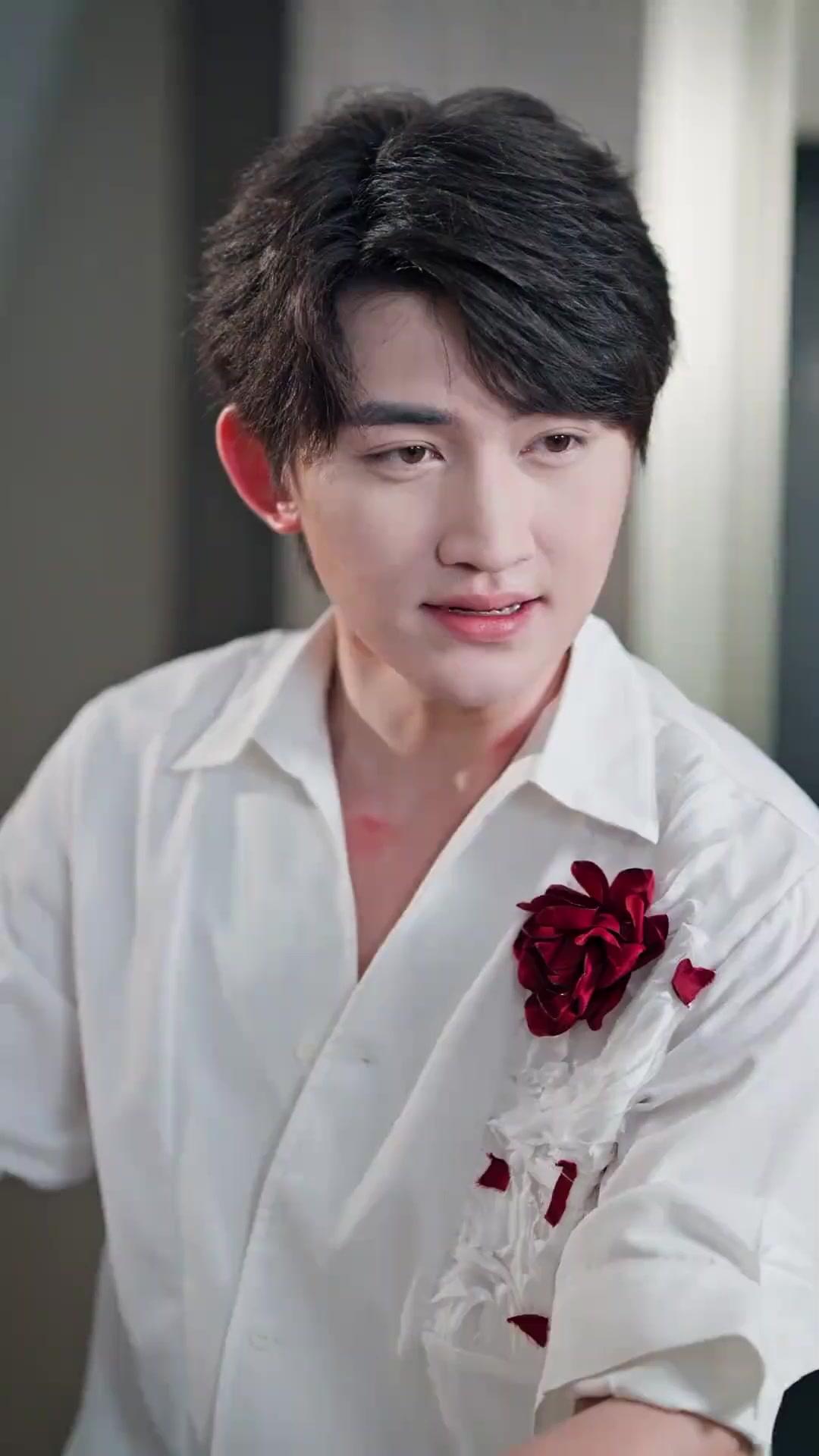 Destinados en el amor