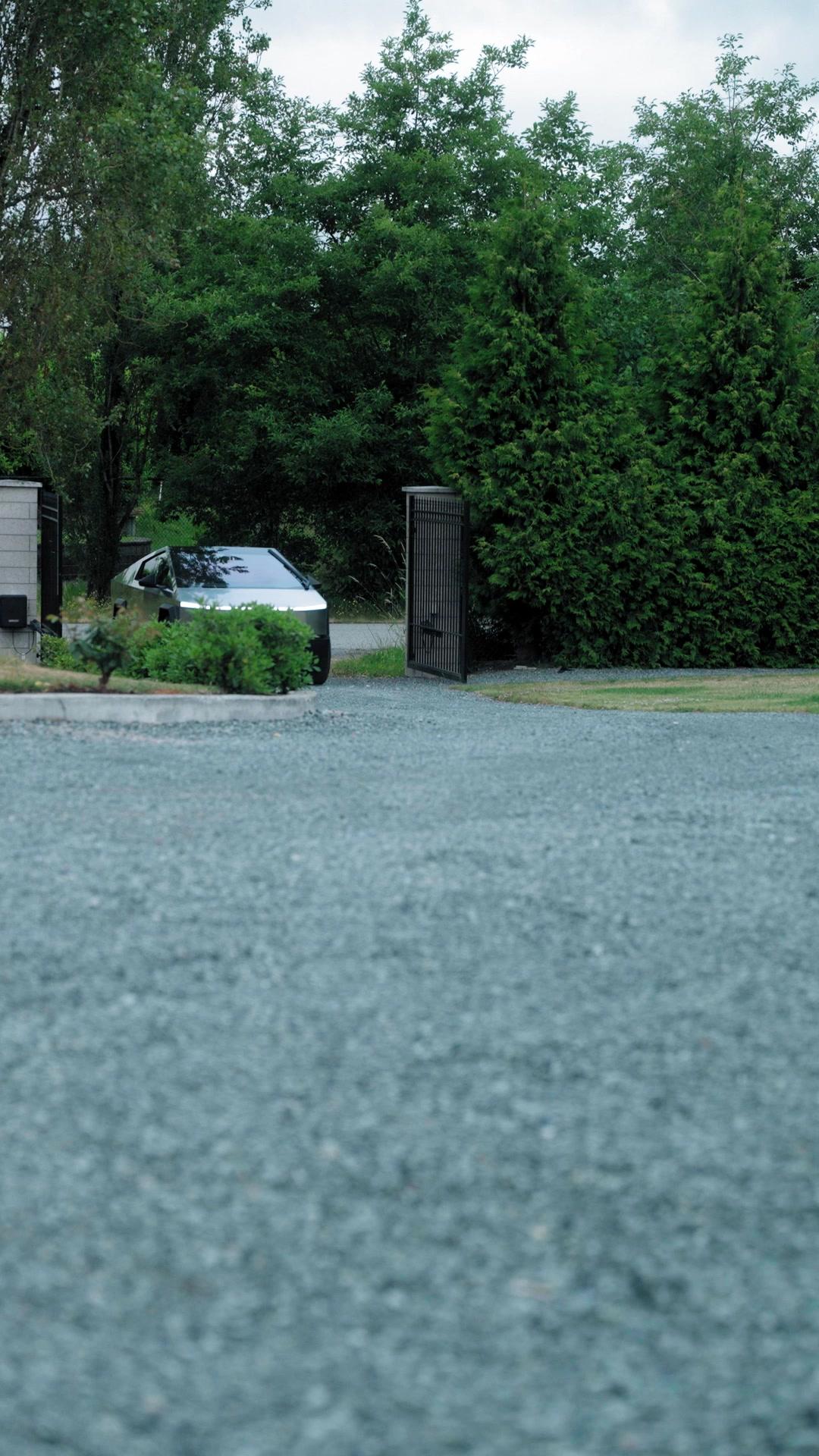 The Alpha King's Fated Virgin Bride