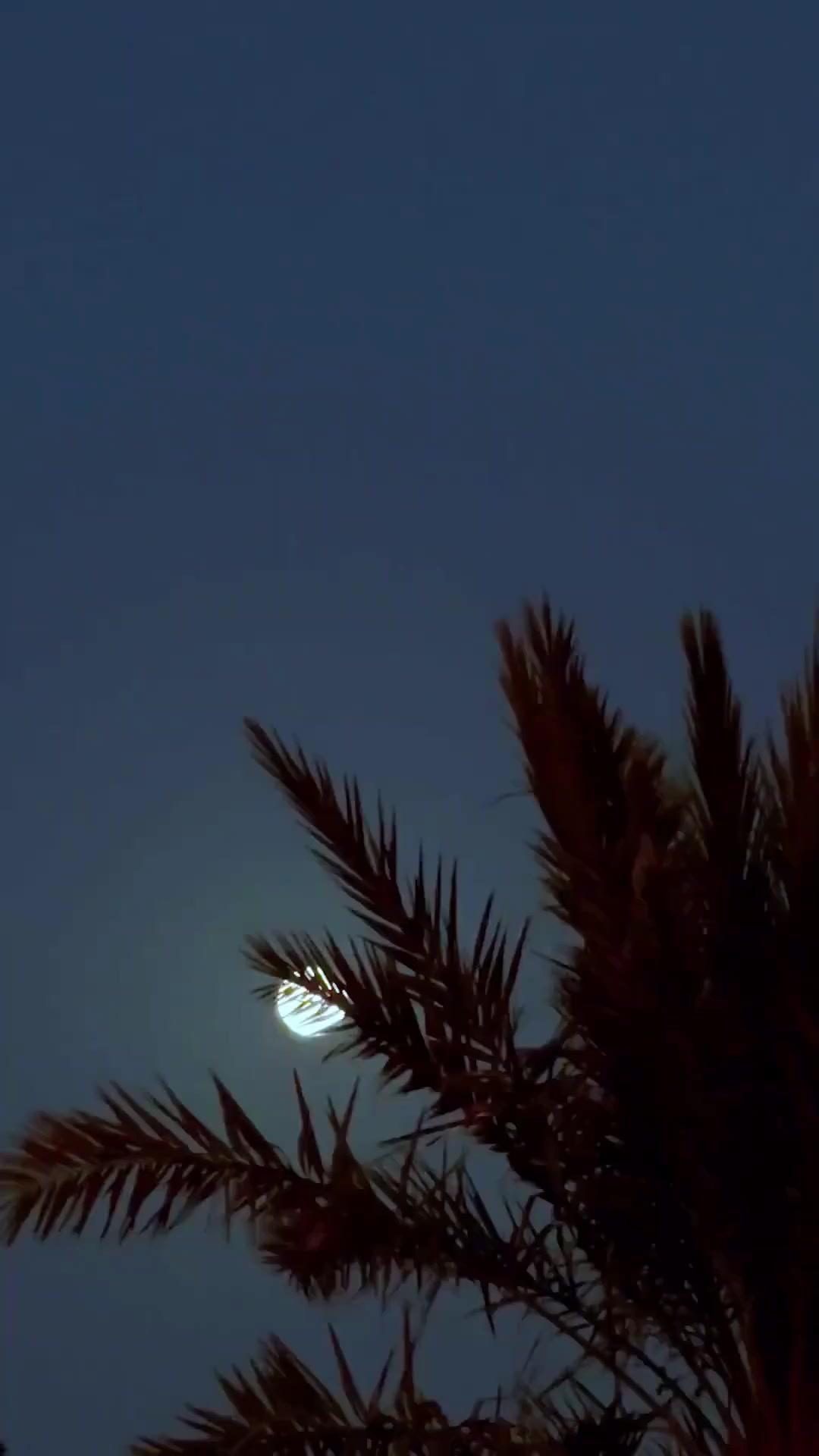 (Lồng tiếng)EM LÀ NIỀM TIẾC NUỐI CỦA ANH