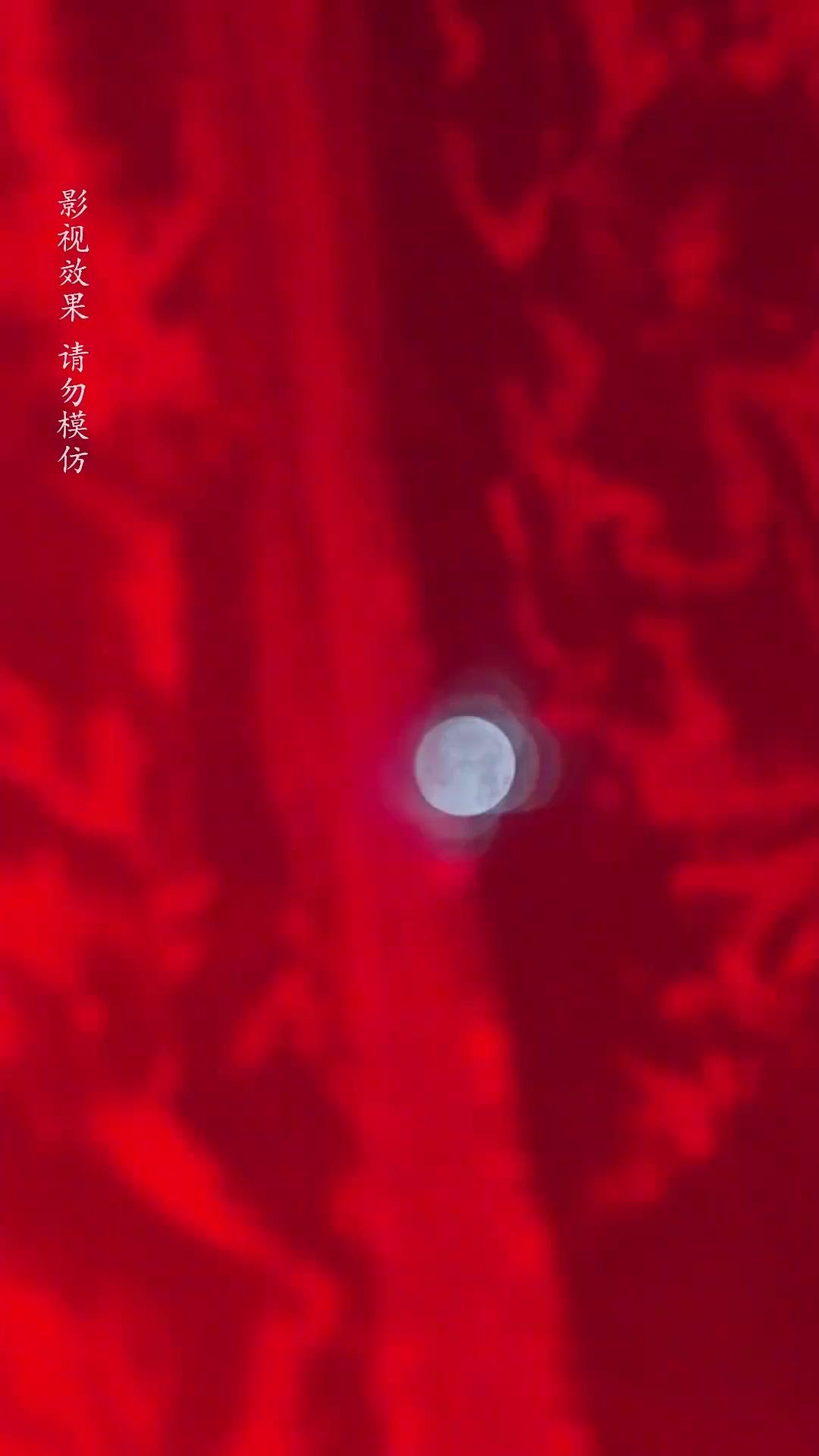 契約の棺と猫仙人の花嫁