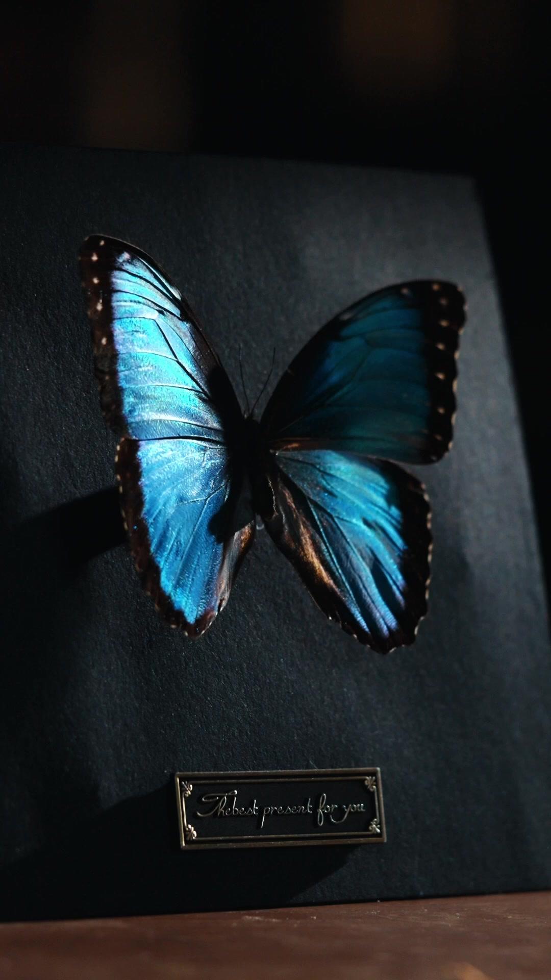 MISSION: ÉPOUSE DE MILLIONNAIRE