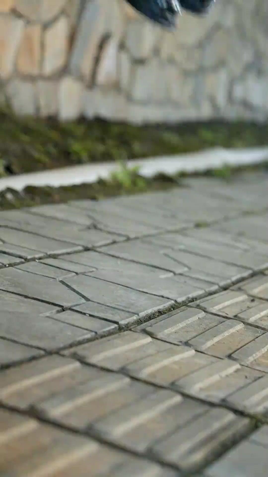 Quando o Amor Renace das Cinzas