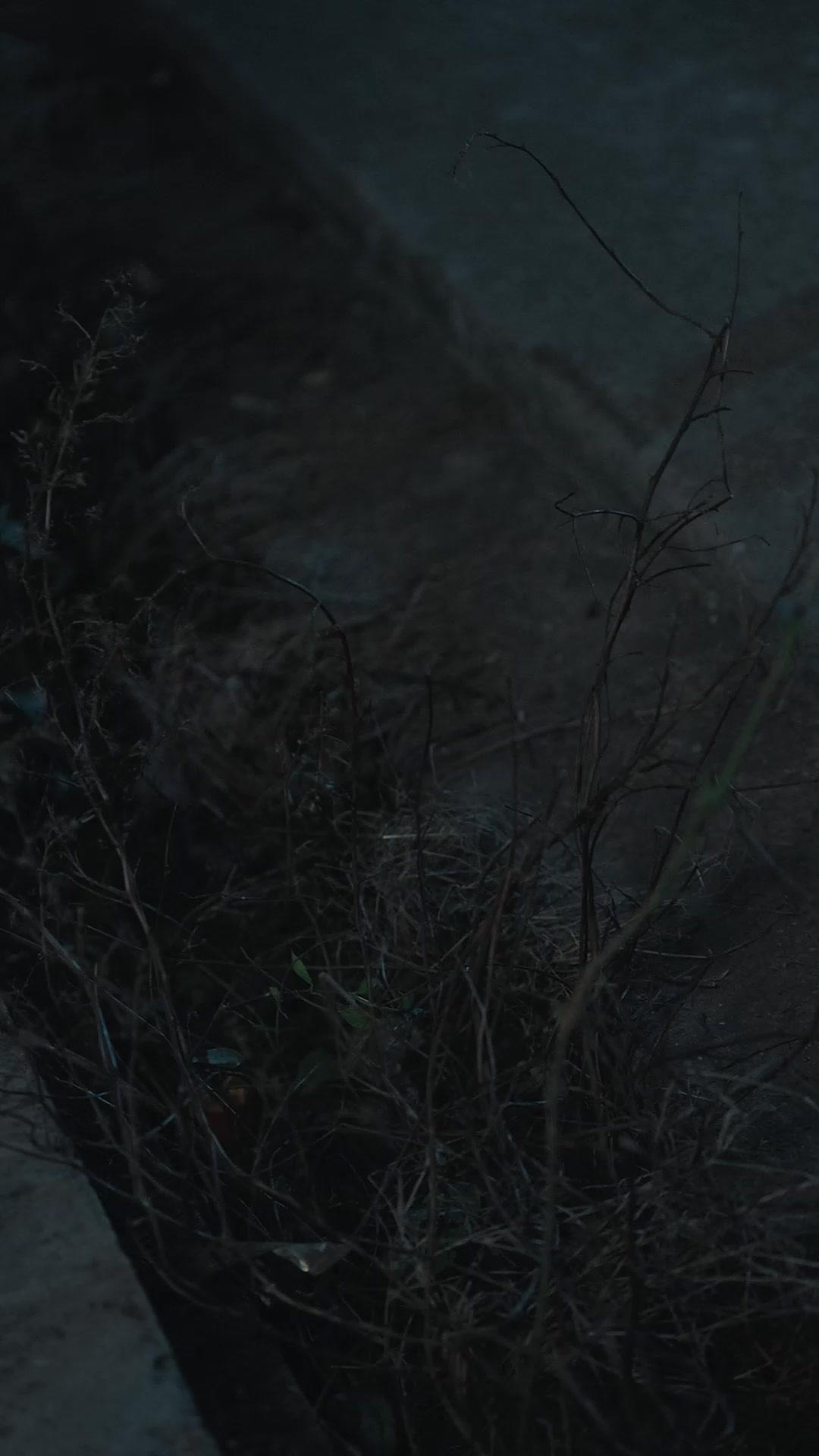 重生當兒媳靠山