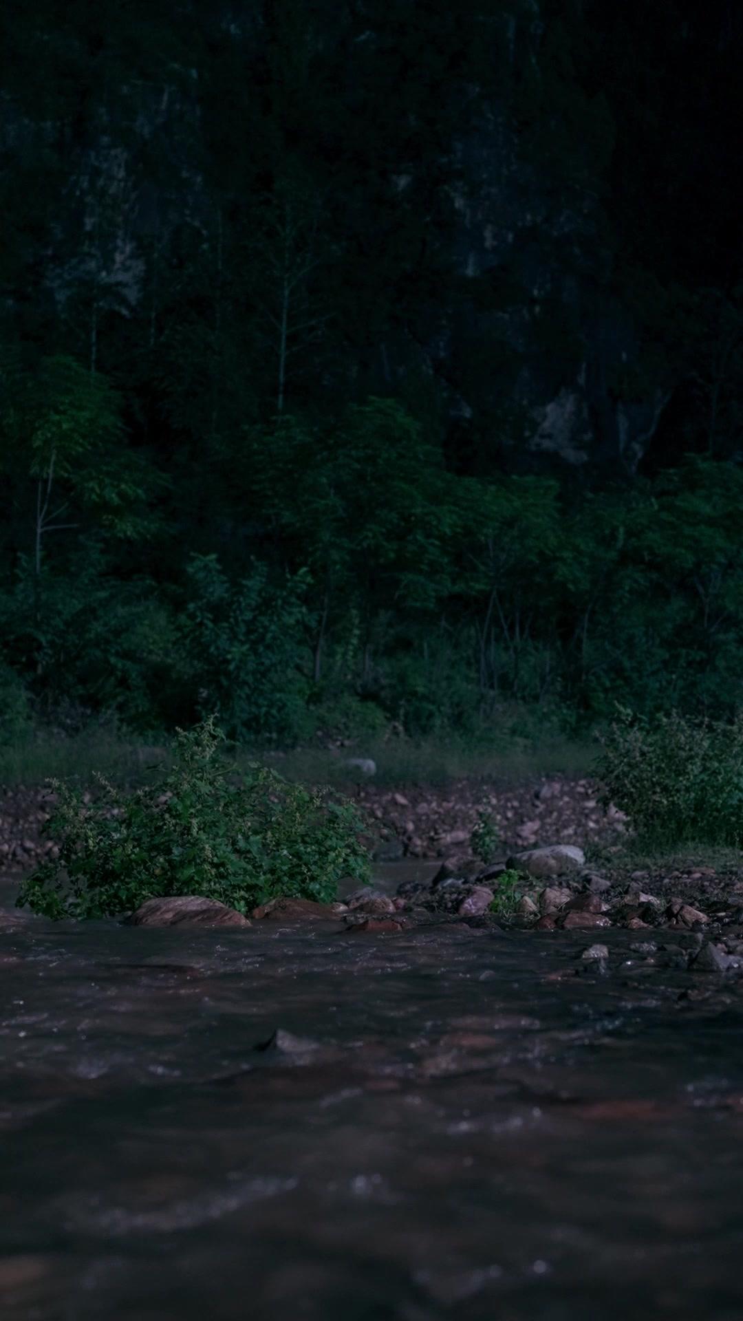 仁心無敵：我在山村當神醫