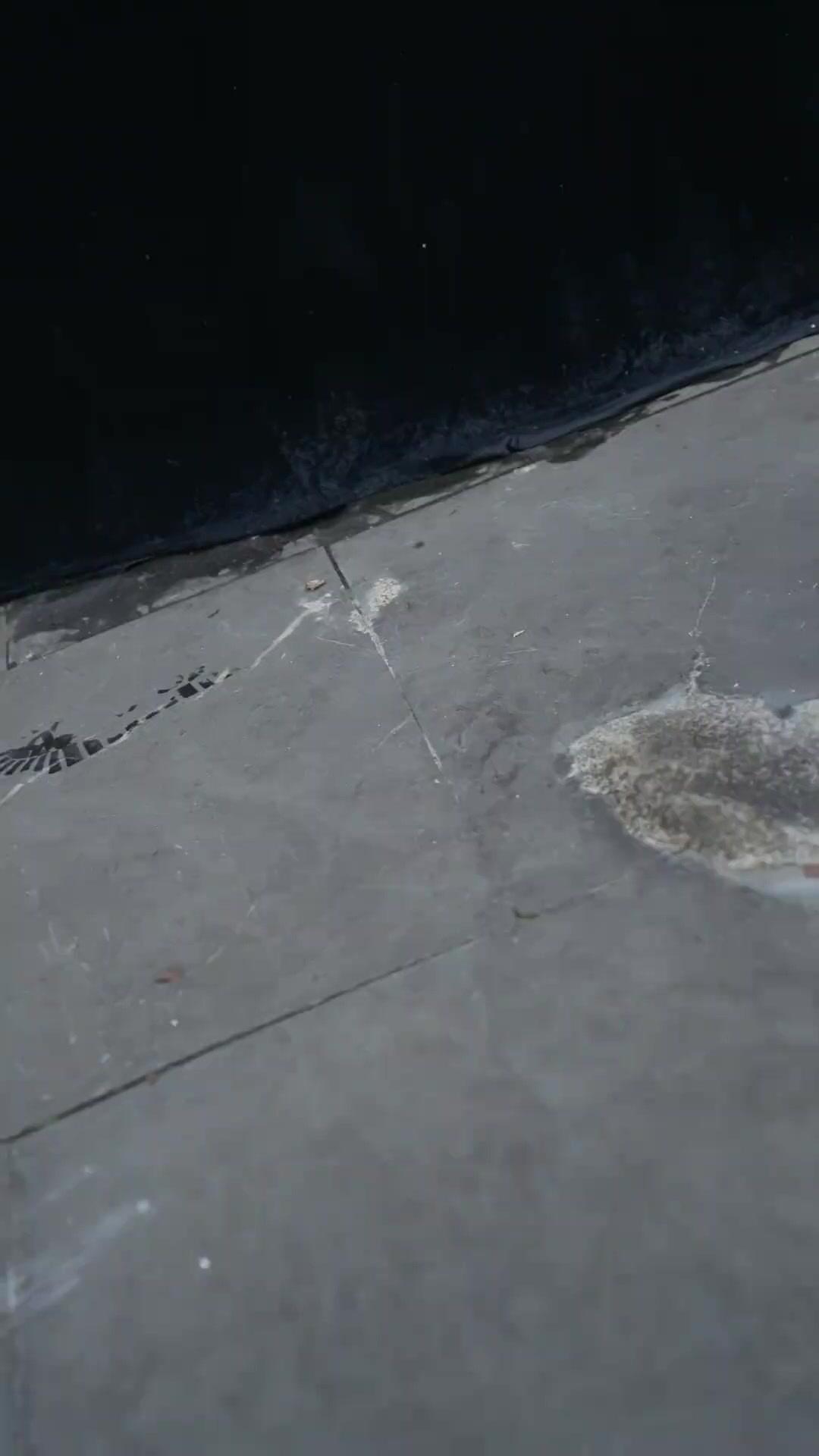 لا تستهين بأبي