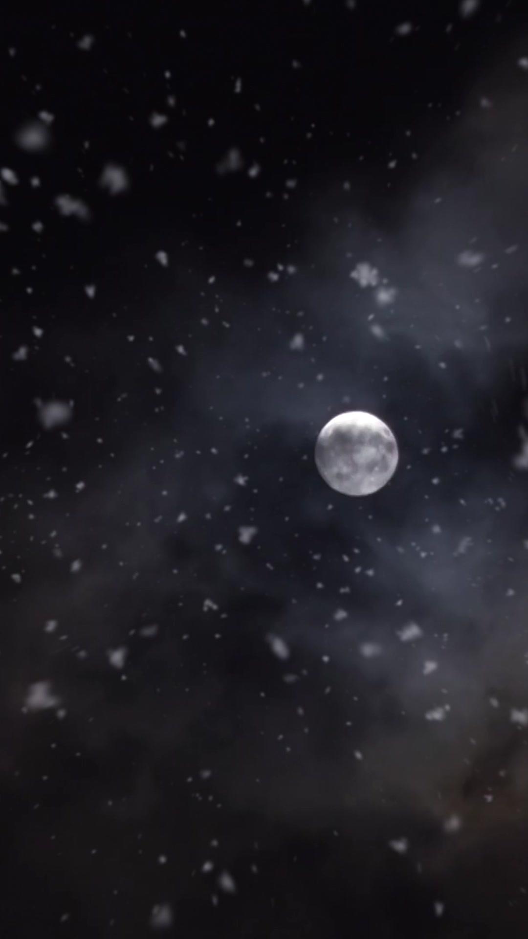 時總裁的古代妃