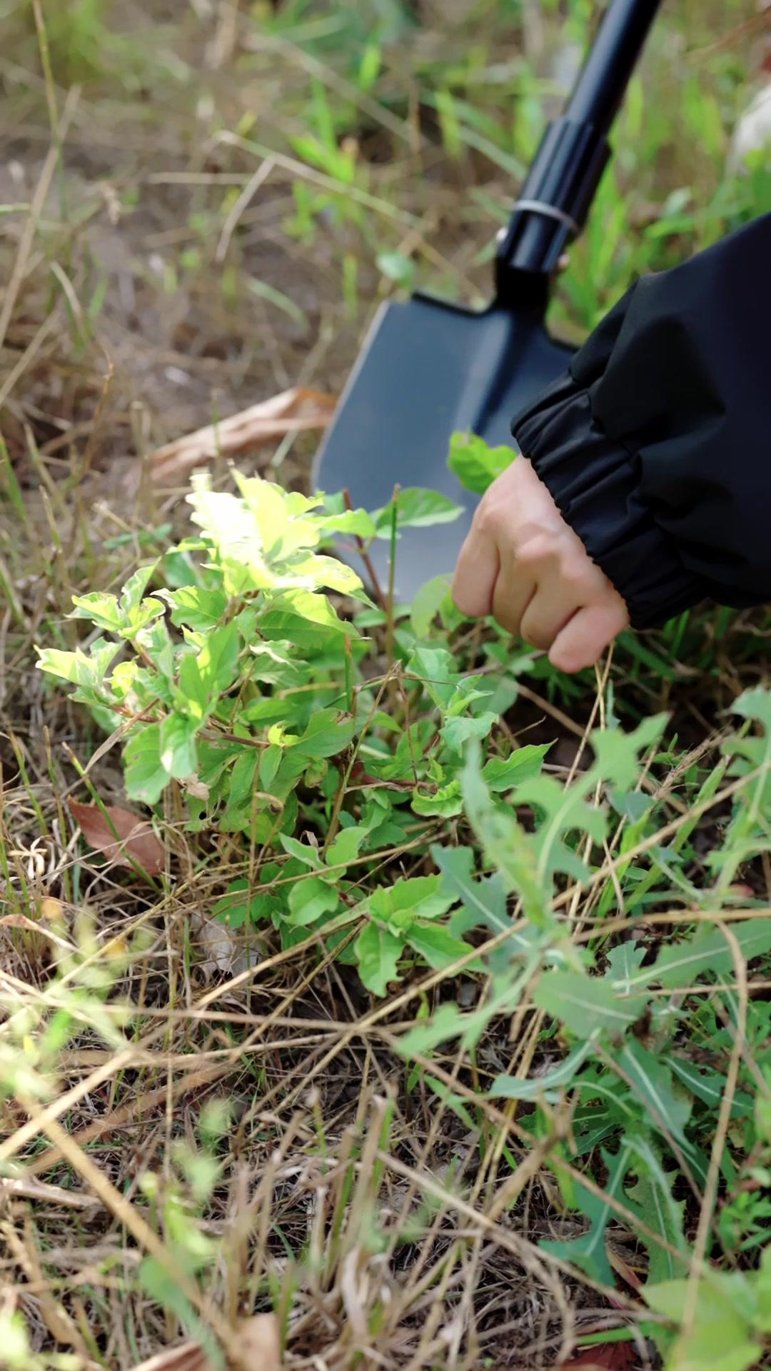 Kutukan Pengantin Pertama