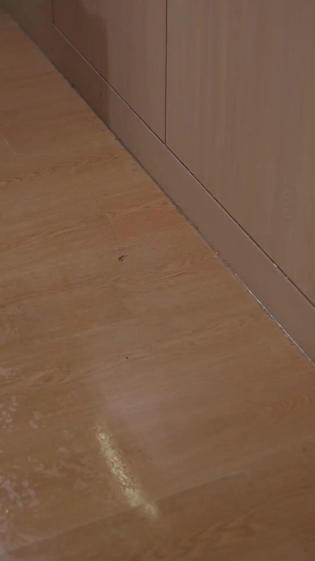 أحلام محطمة