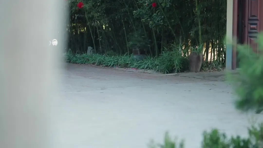 A Second Chance at Love: When the Past Walks Through the Gate in a Suit