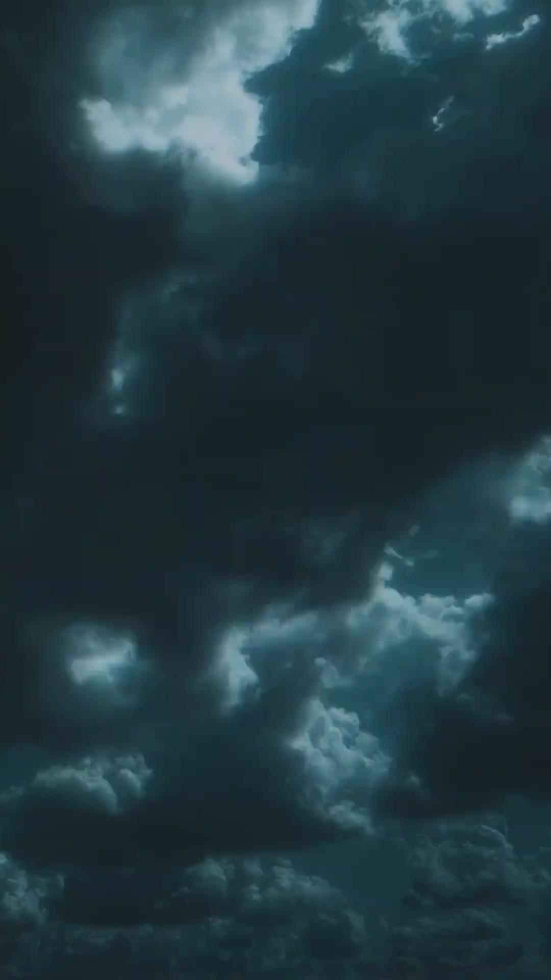 Con Cưng Xã Hội Đen