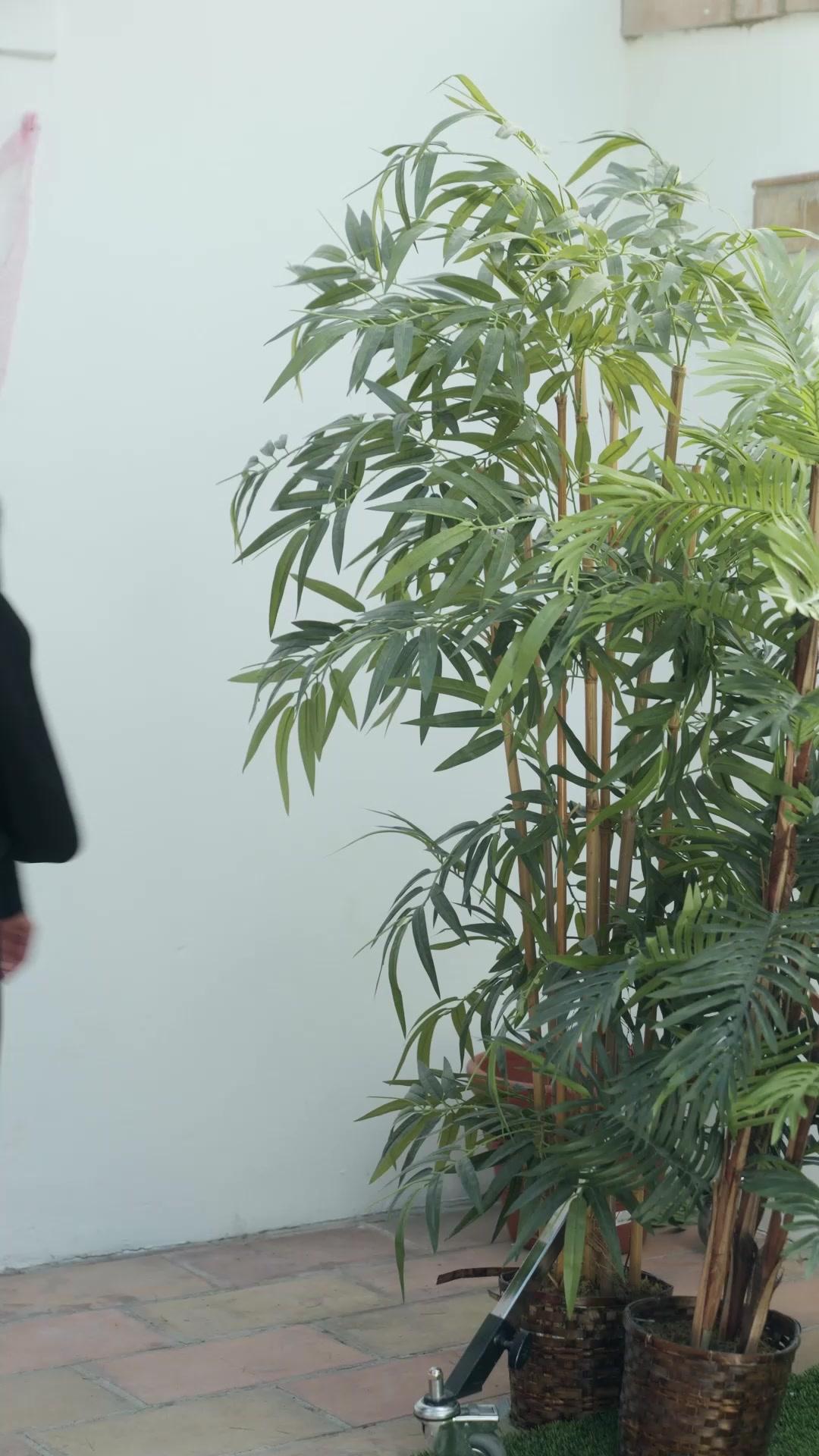 Pregnant Heiress：Pampered by Five Uncles