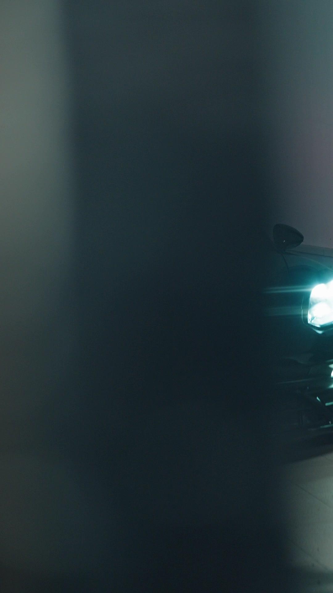 Hunting a Demon? Captivating My CEO!