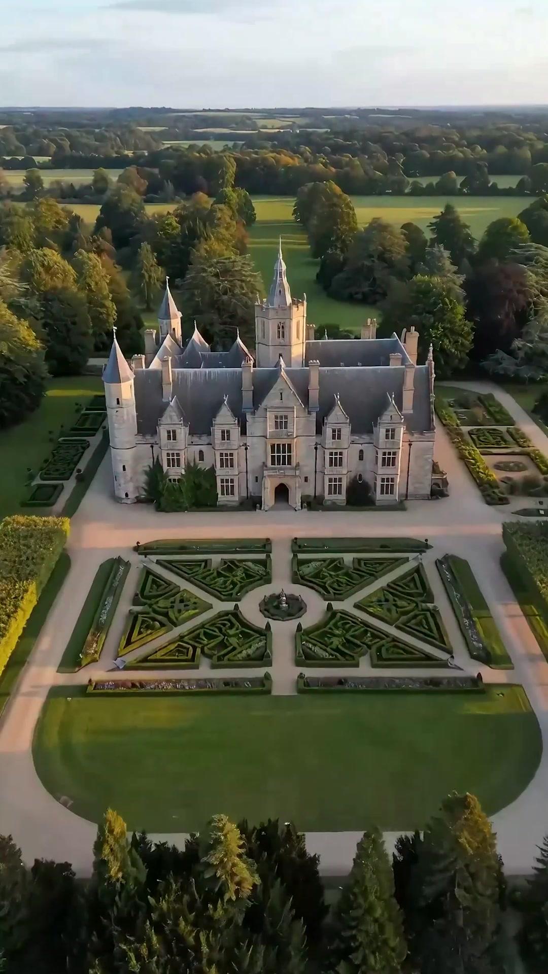 No Mercy For The Cuckoo