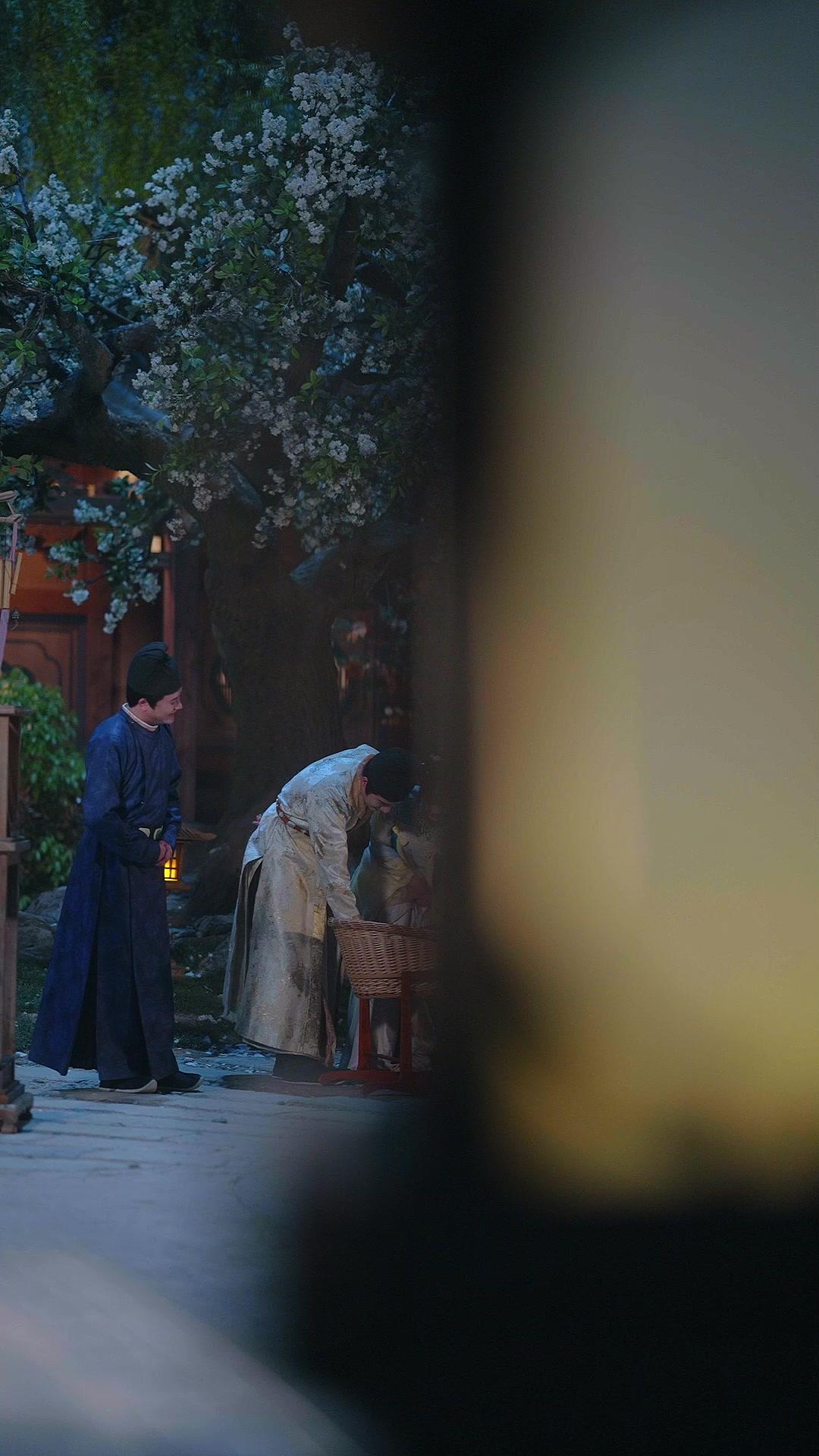 The Emperor's Cinderella