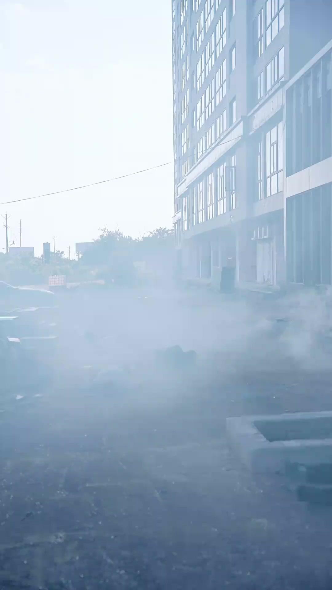 Si Penjinak Hati dan Hewan