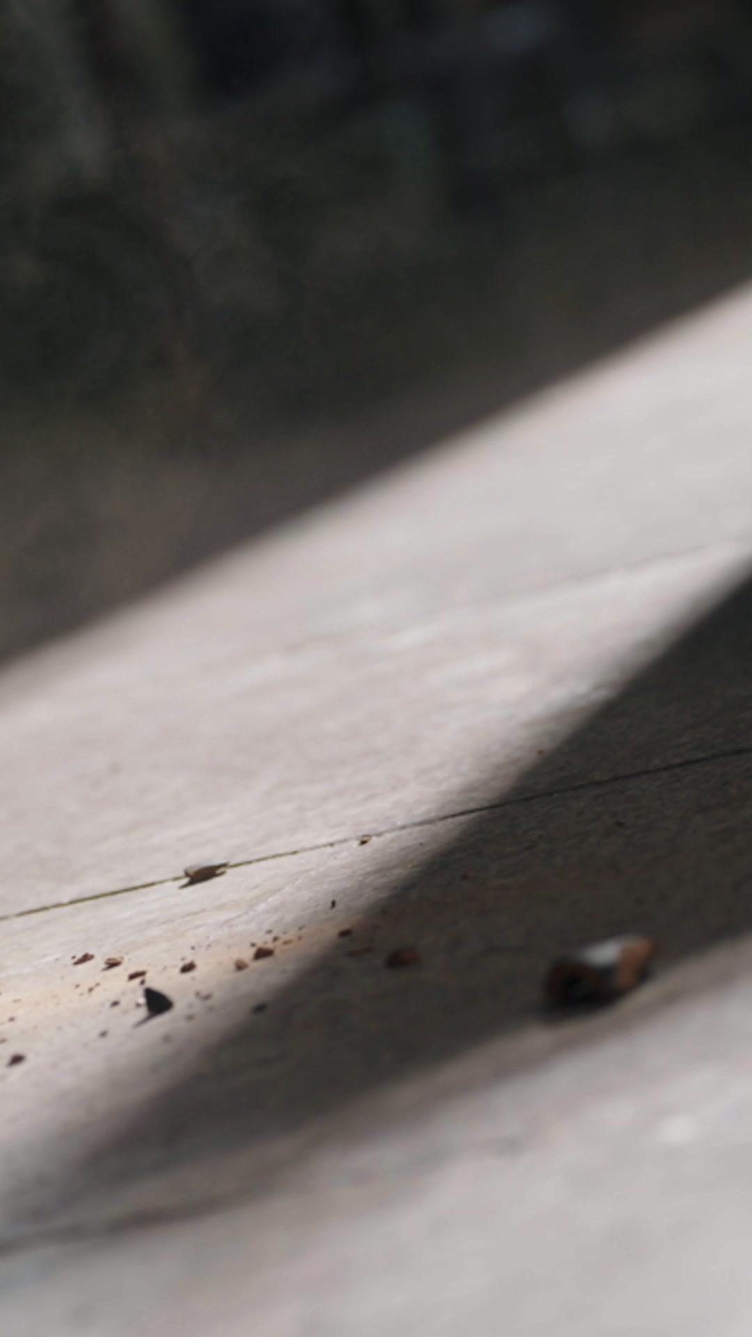 傾國計中計：她從地獄回來了