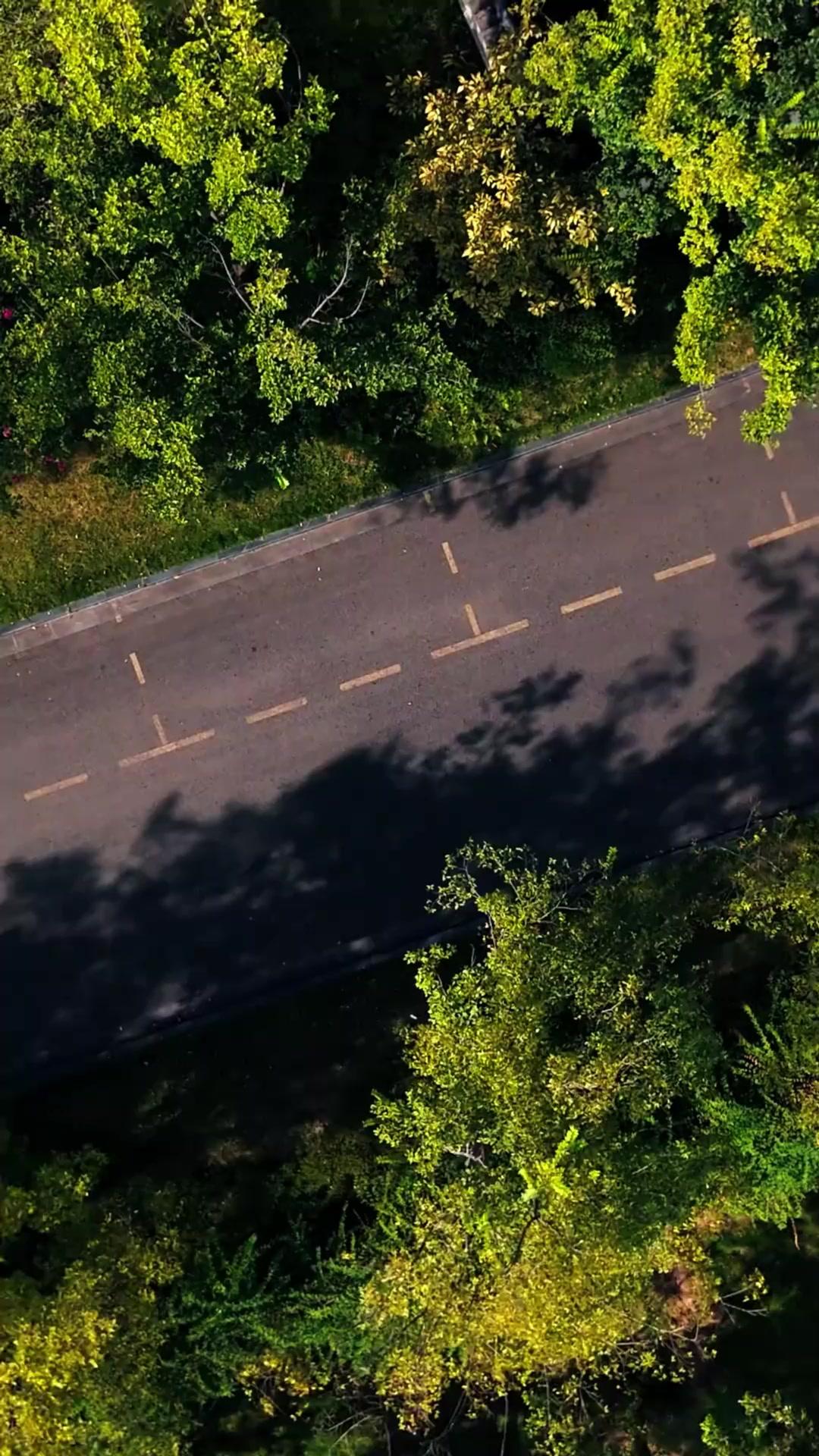 ฝากลูกฝากใจ แต่กลับทรยศฉัน！