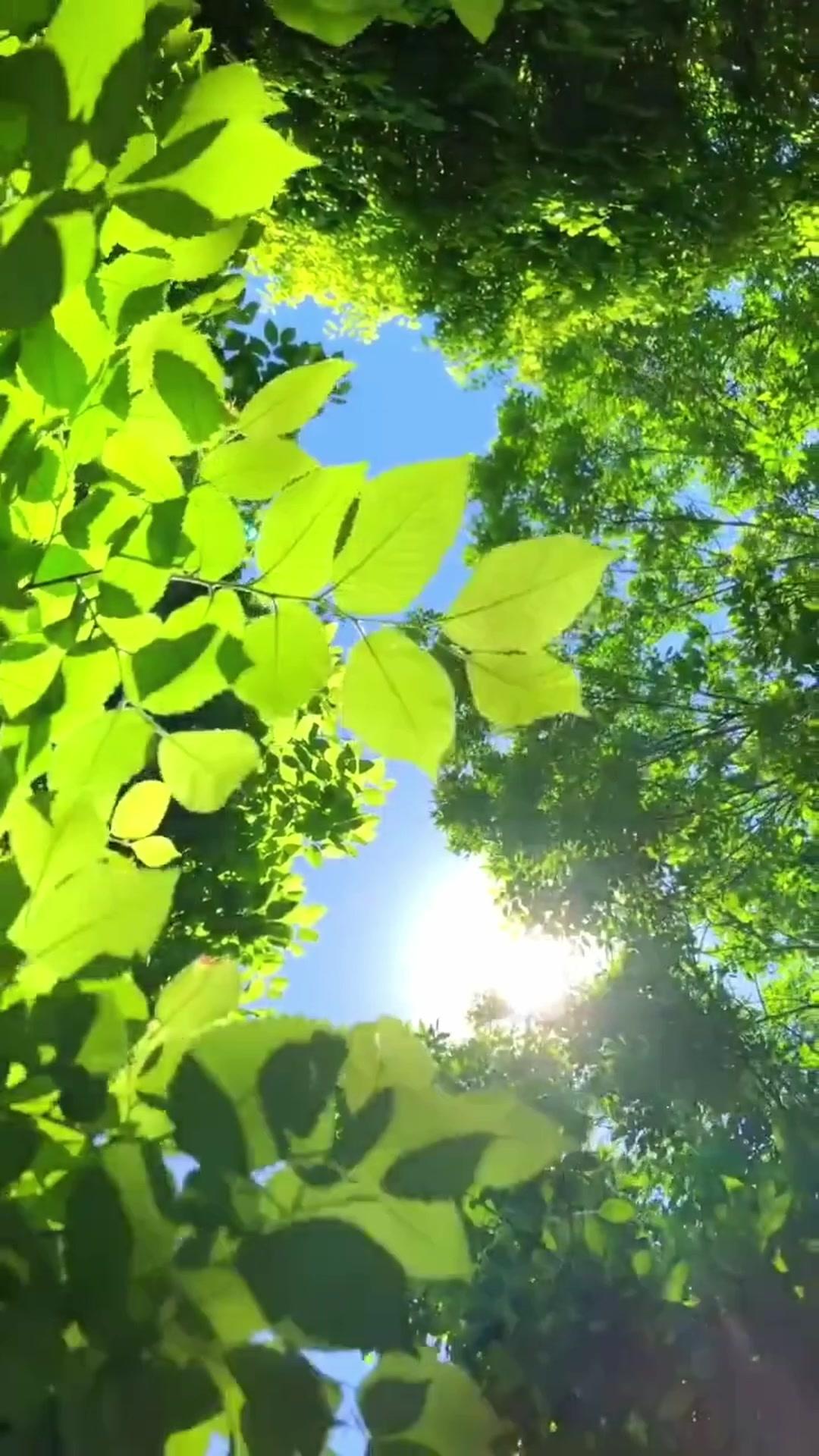 Hunting a Demon? Captivating My CEO!