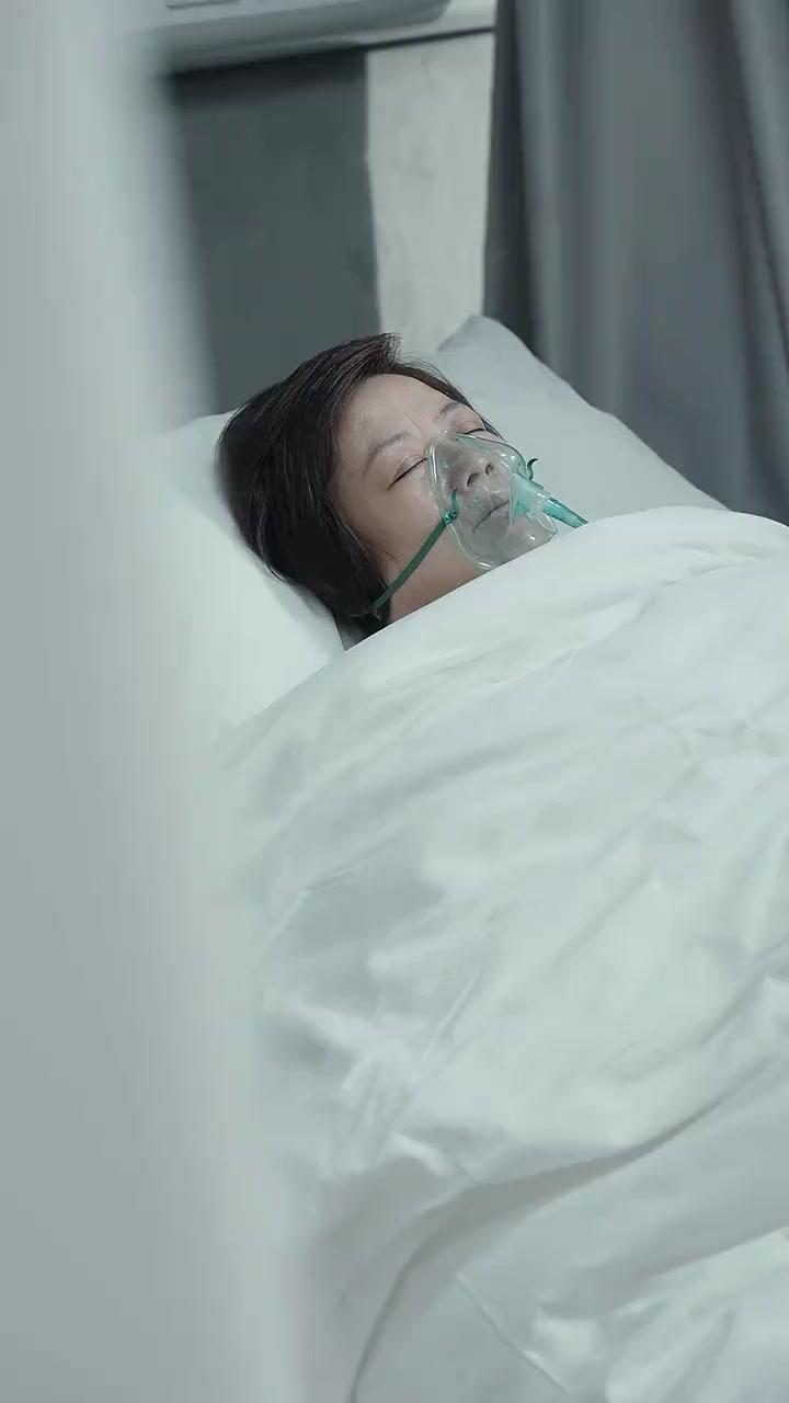 불패의 주먹