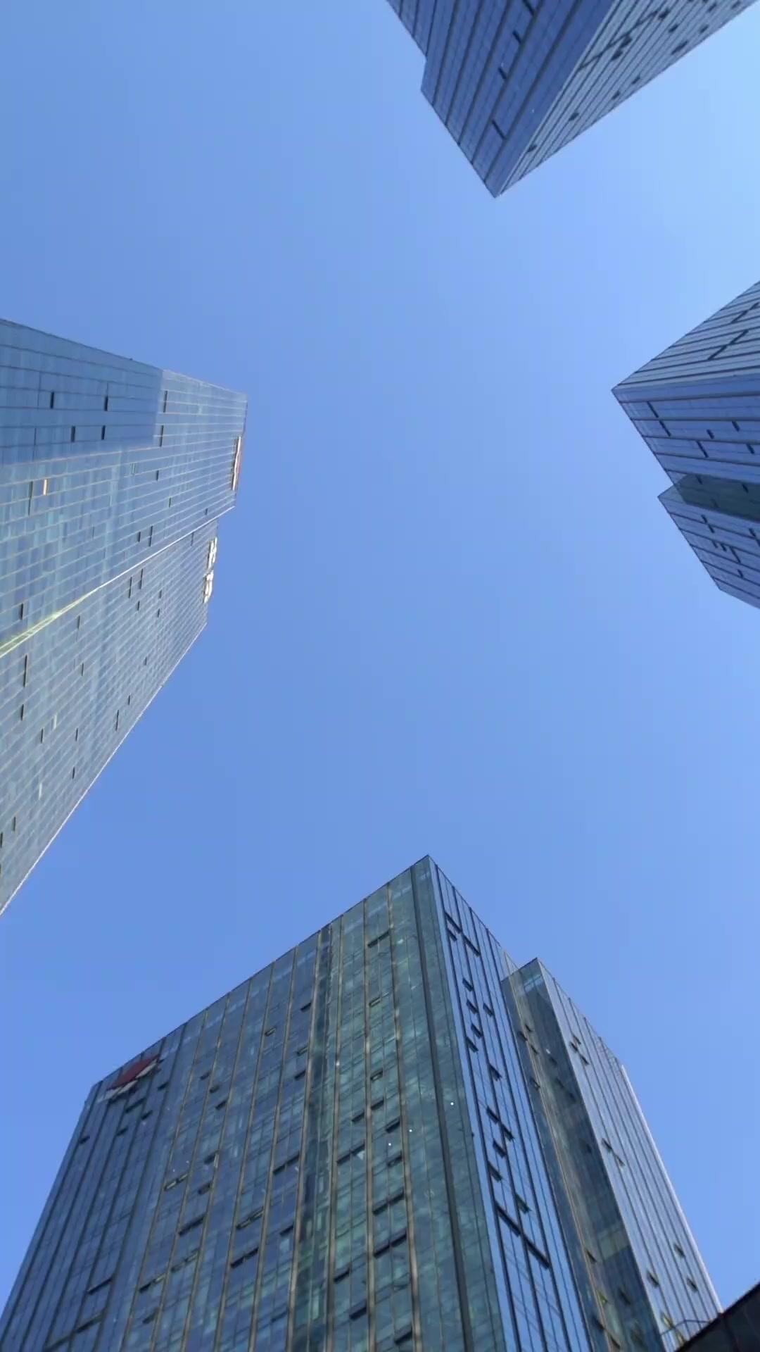 社長のボディガードは超萌えっ娘